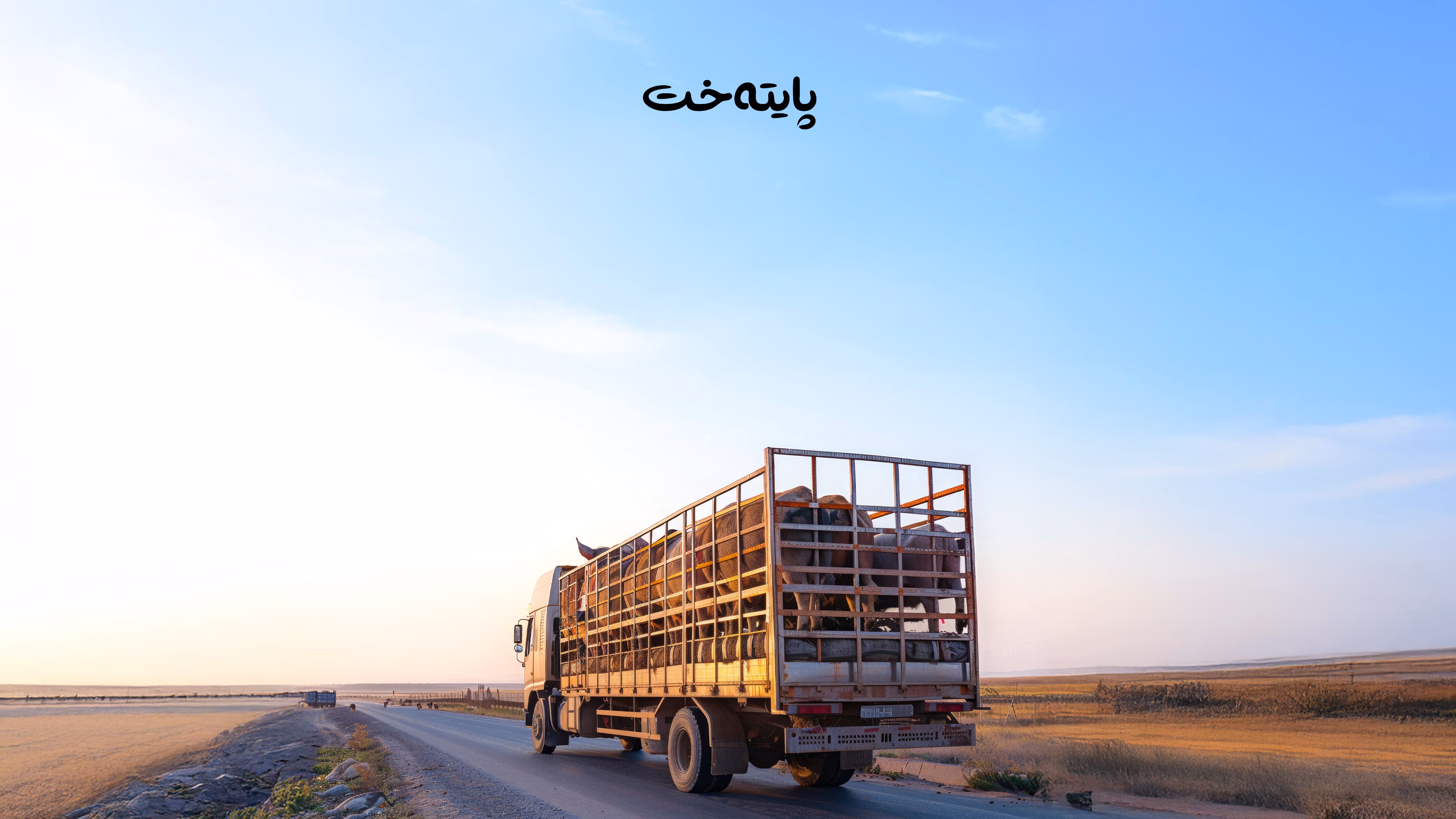 ئاژەڵەکان کەرەنتین دەکرێن