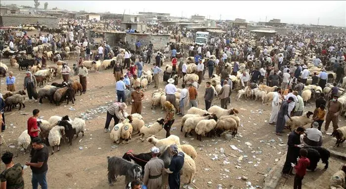 فرۆشتنی ئاژەڵ قەدەغەکرا 