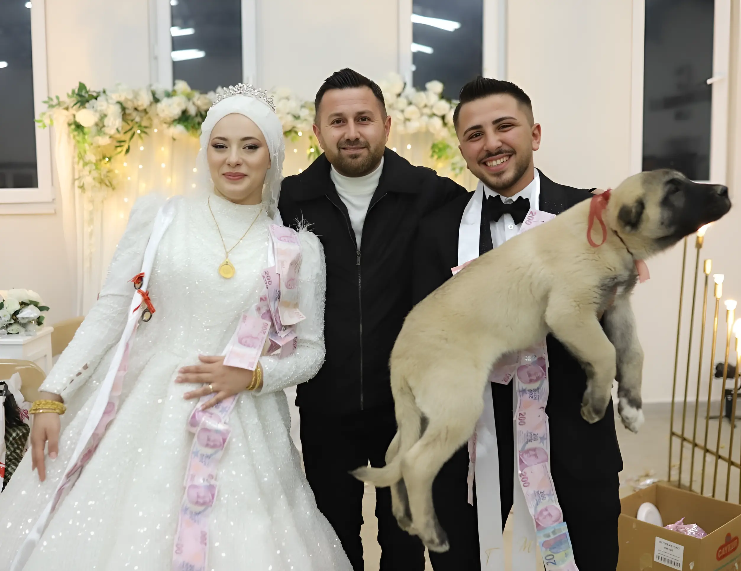 لە جیاتی زێڕ سەگێک پێشکەشی بووک و زاوا کرا