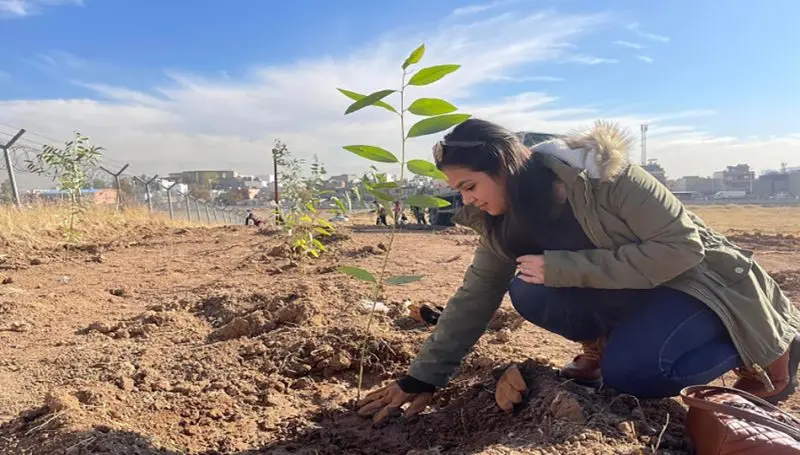 هەر کەسێک نەمام نەچێنێت مامەڵەکانی ڕادەگیرێت