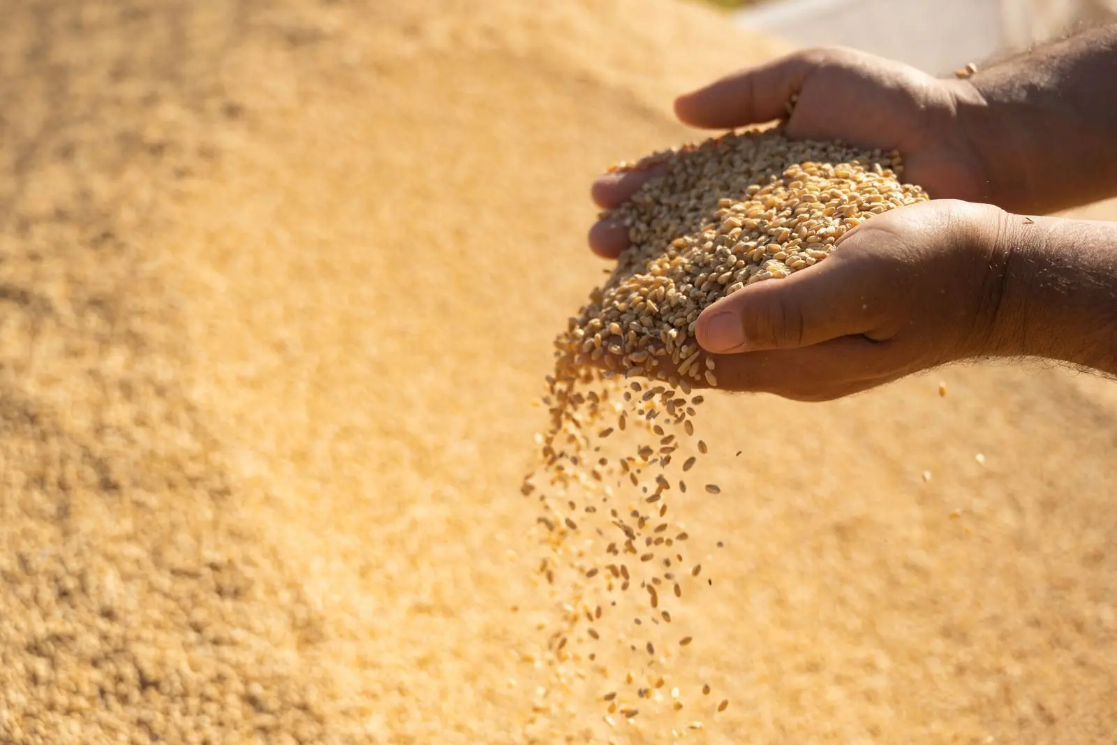 داوایه‌كی خێرا له‌ جووتیاران ده‌كرێت