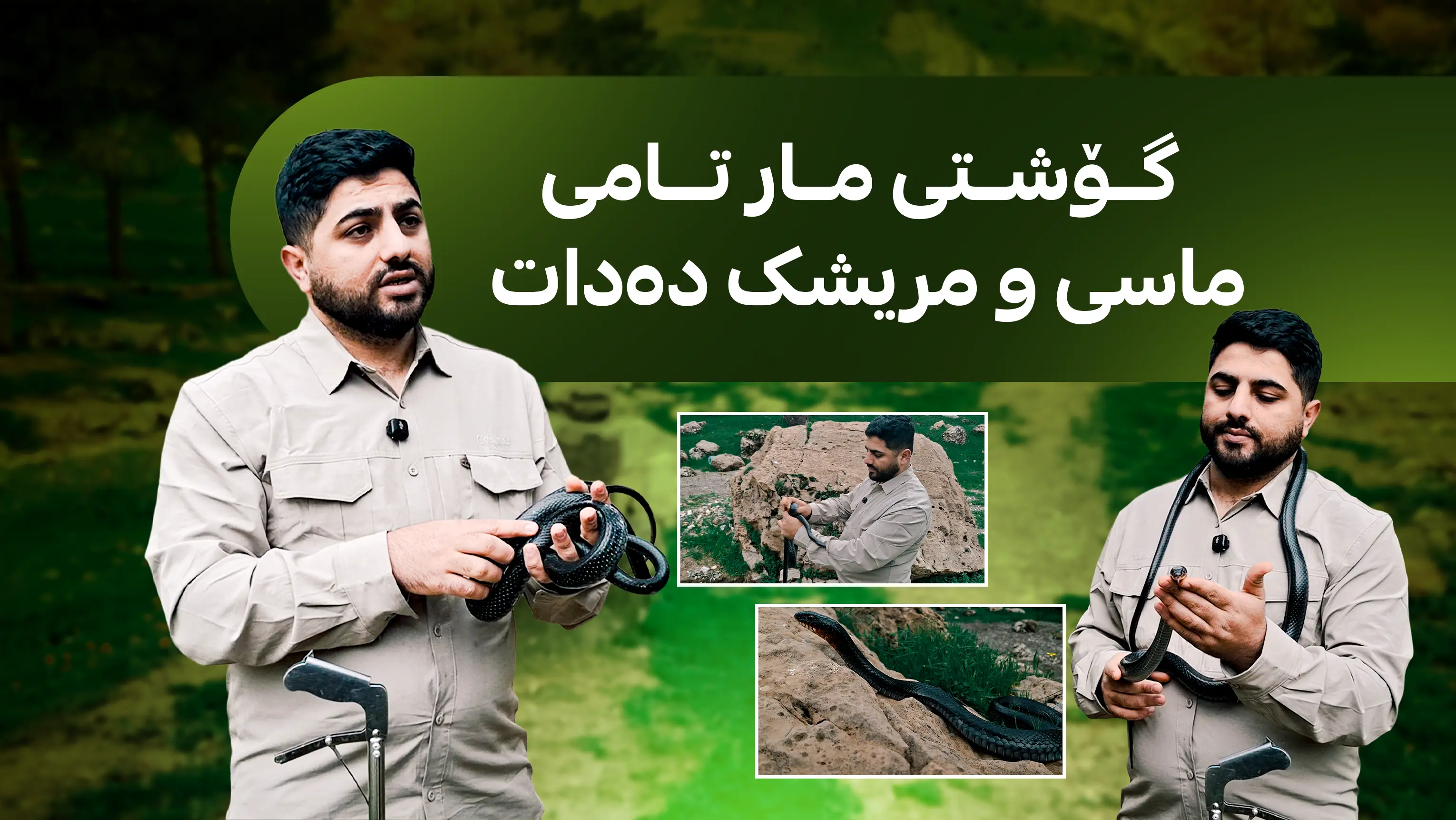 گۆشتی مار تامی ماسی و مریشک دەدات