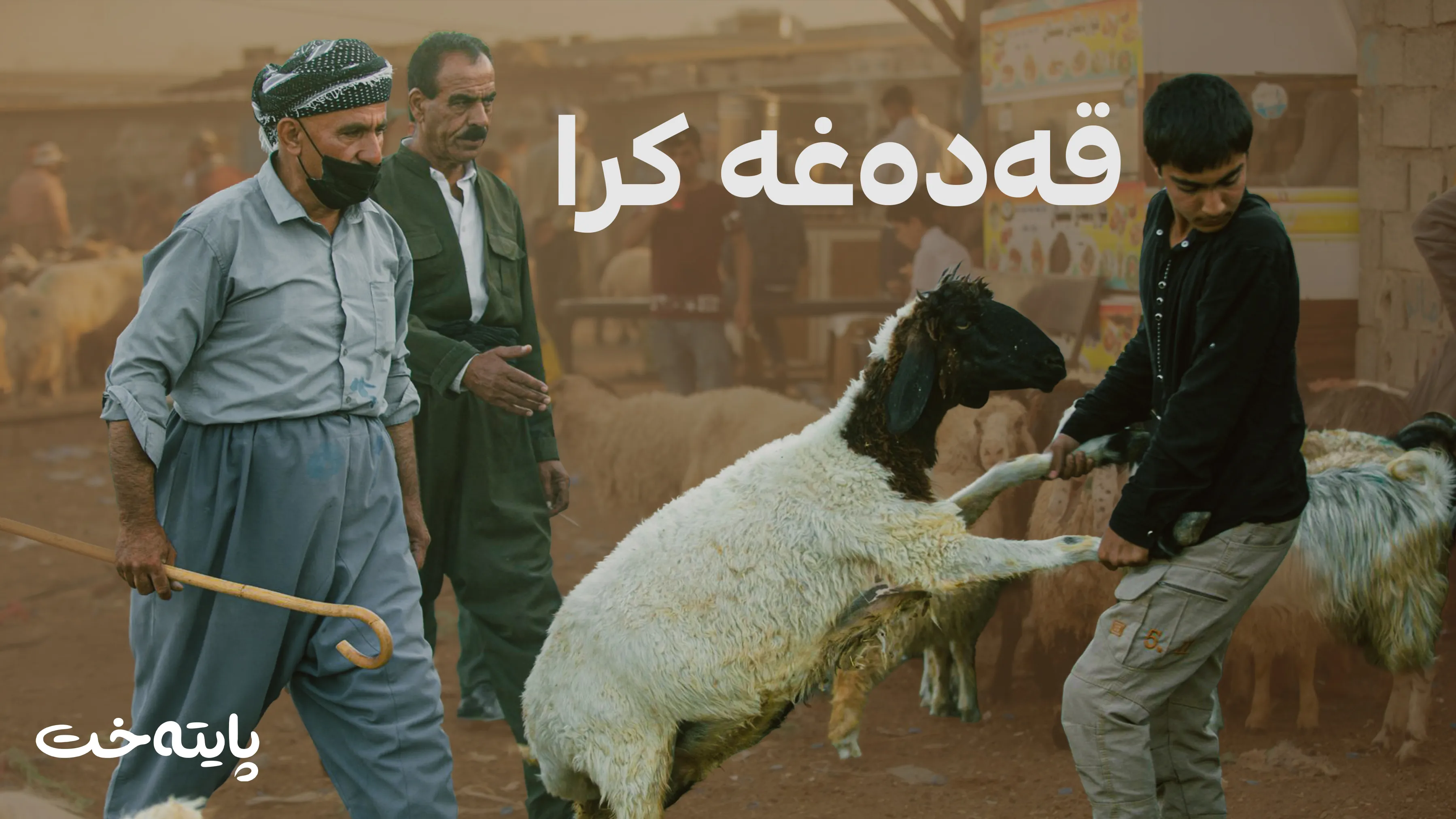 چیتر ناتوانیت لە ماڵەکەت ئاژەڵ سەرببڕیت 
