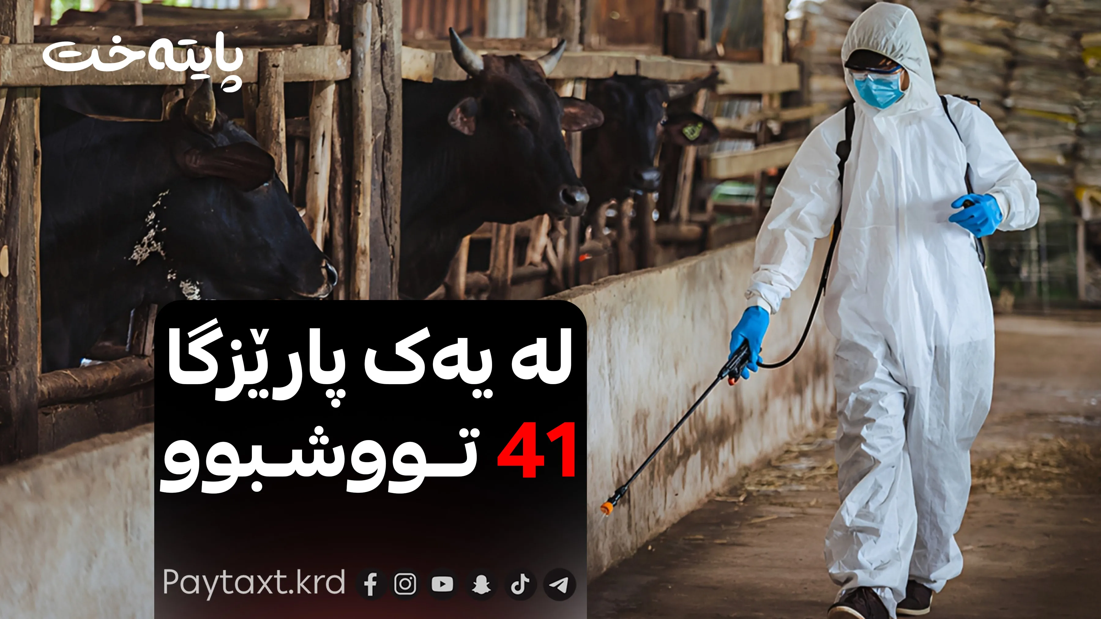 عێراق لەبارەی تای خوێنبەربوون هۆشداری تووند دەدات
