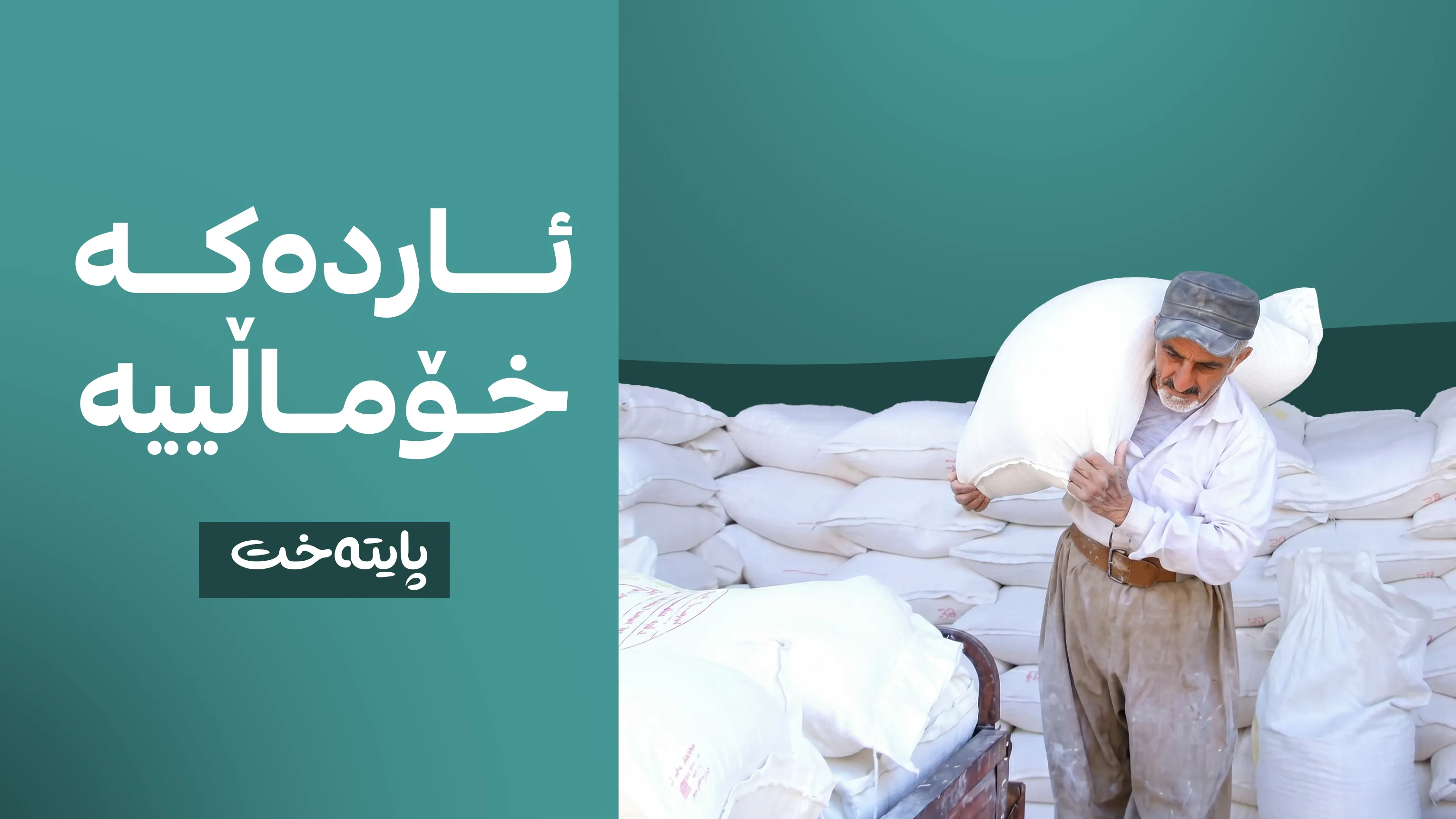 لە گەنمی جووتیارانی هەرێمی کوردستان بەشەئاردی مانگانە دابەشدەکرێت