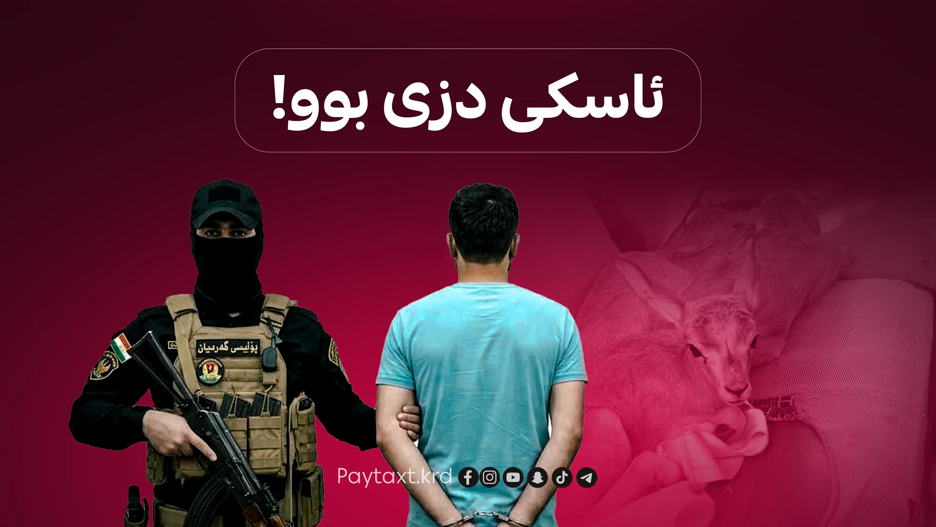 تۆمەتبارێکی دیکەی ڕاوکردنی بێچووە ئاسکەکانی گەرمیان دەستگیرکرا