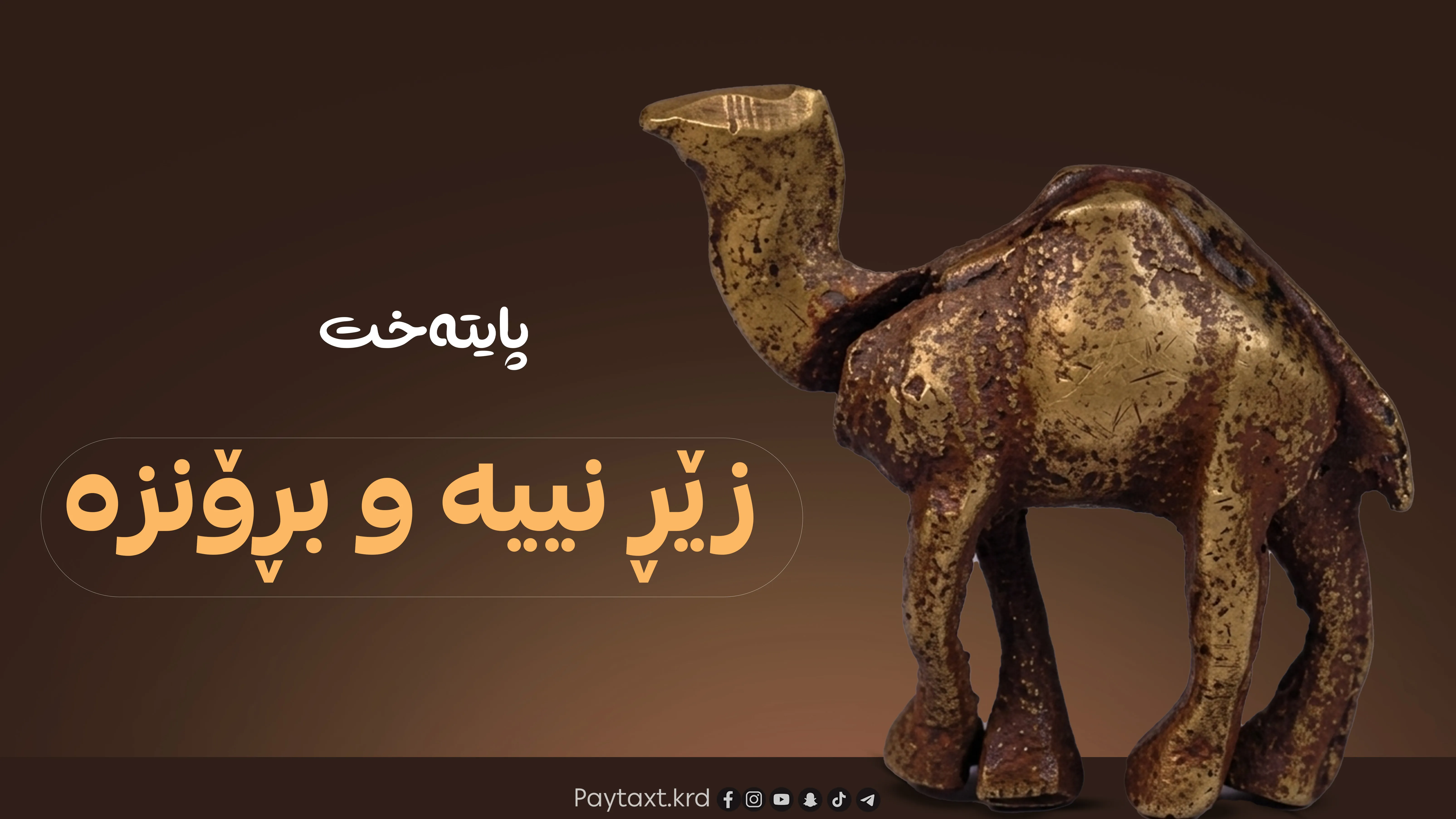 حوشترەکەی دهۆک بڕۆنز دەرچوو