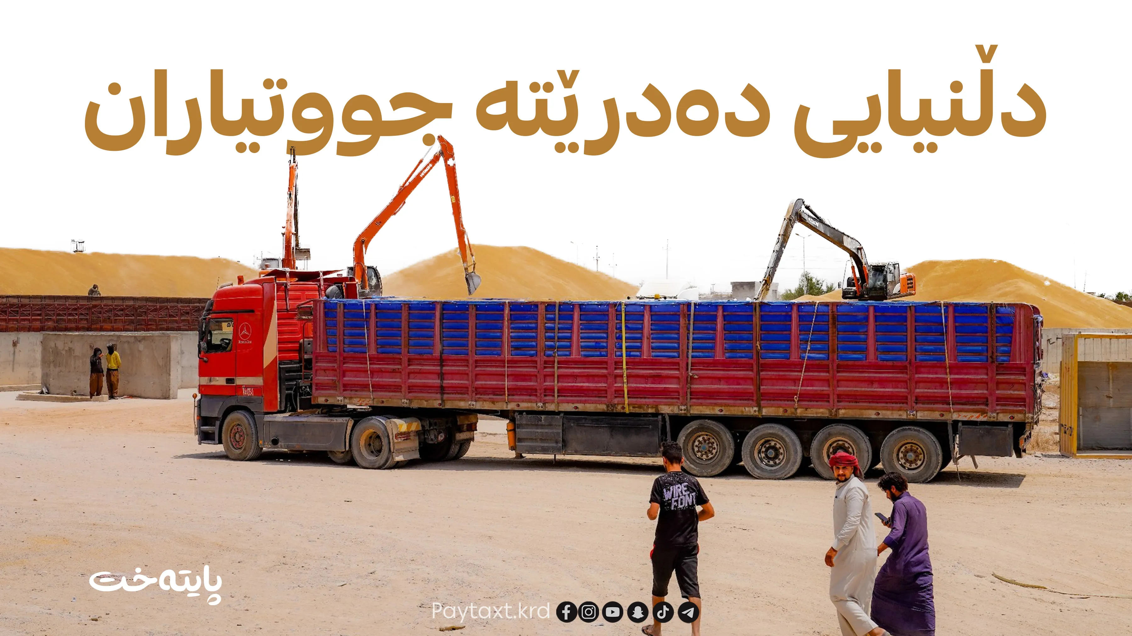 نوێترین ئاماری وەرگرتنی گەنم بڵاوکرایەوە