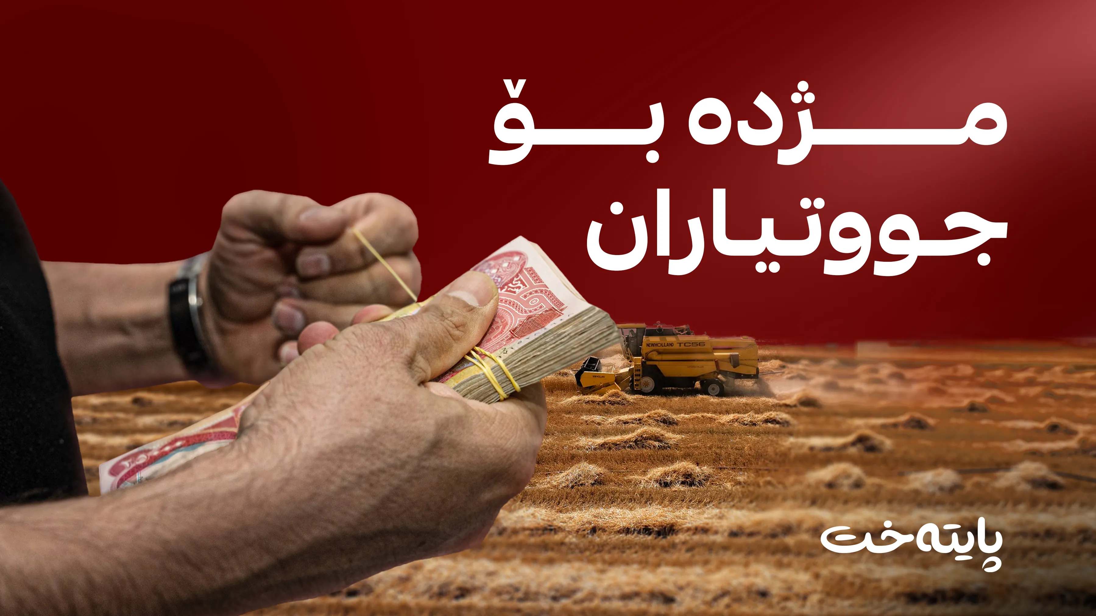 بڕیارێکی نوێ له‌باره‌ی پارەی گەنمی جووتیاران درا