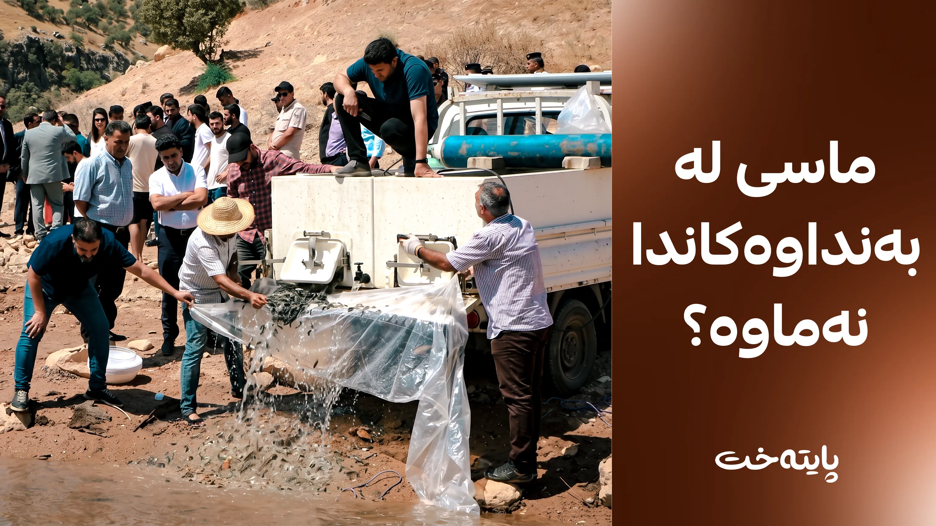 کوردستان دەبێتە ناوەندی بەرهەمهێنانی ماسی