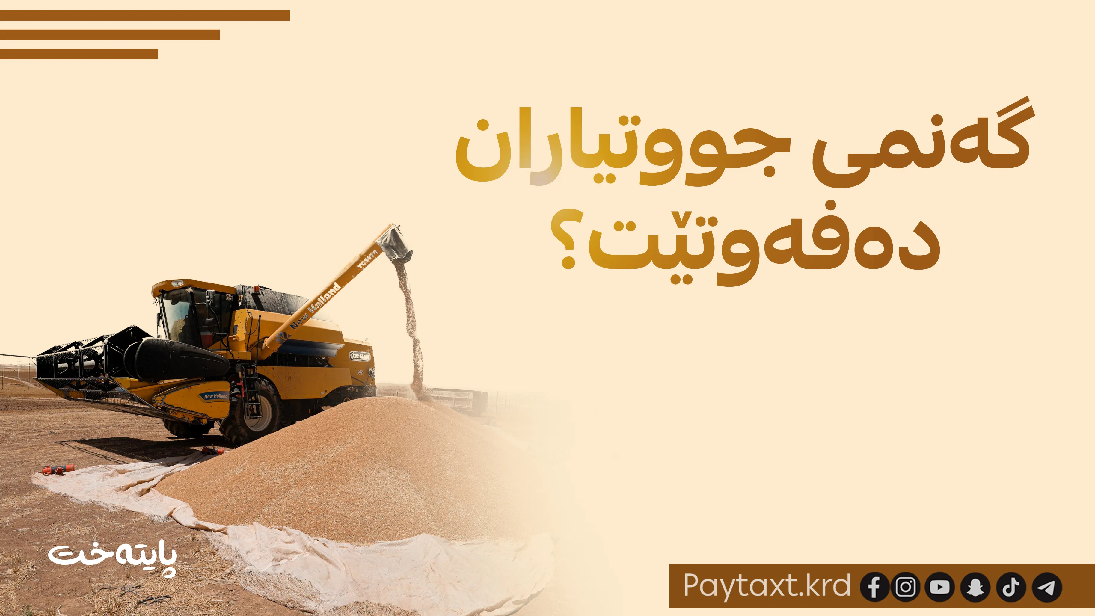 ئەم کارە بکەن گەنمەکانتان ڕەتدەکرێتەوە