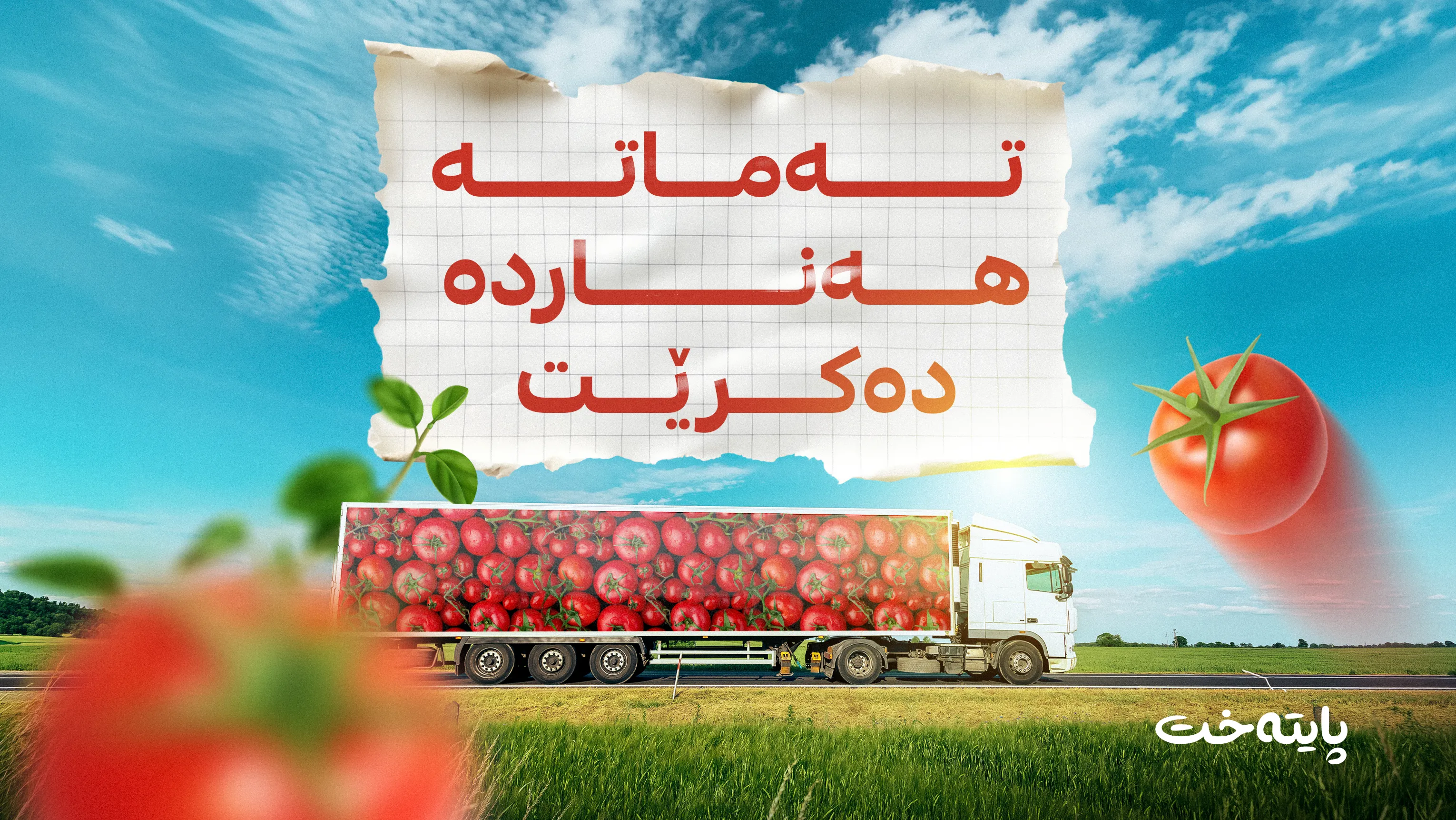 تەماتەی جووتیارانی هەناردەی عێراق دەکرێت