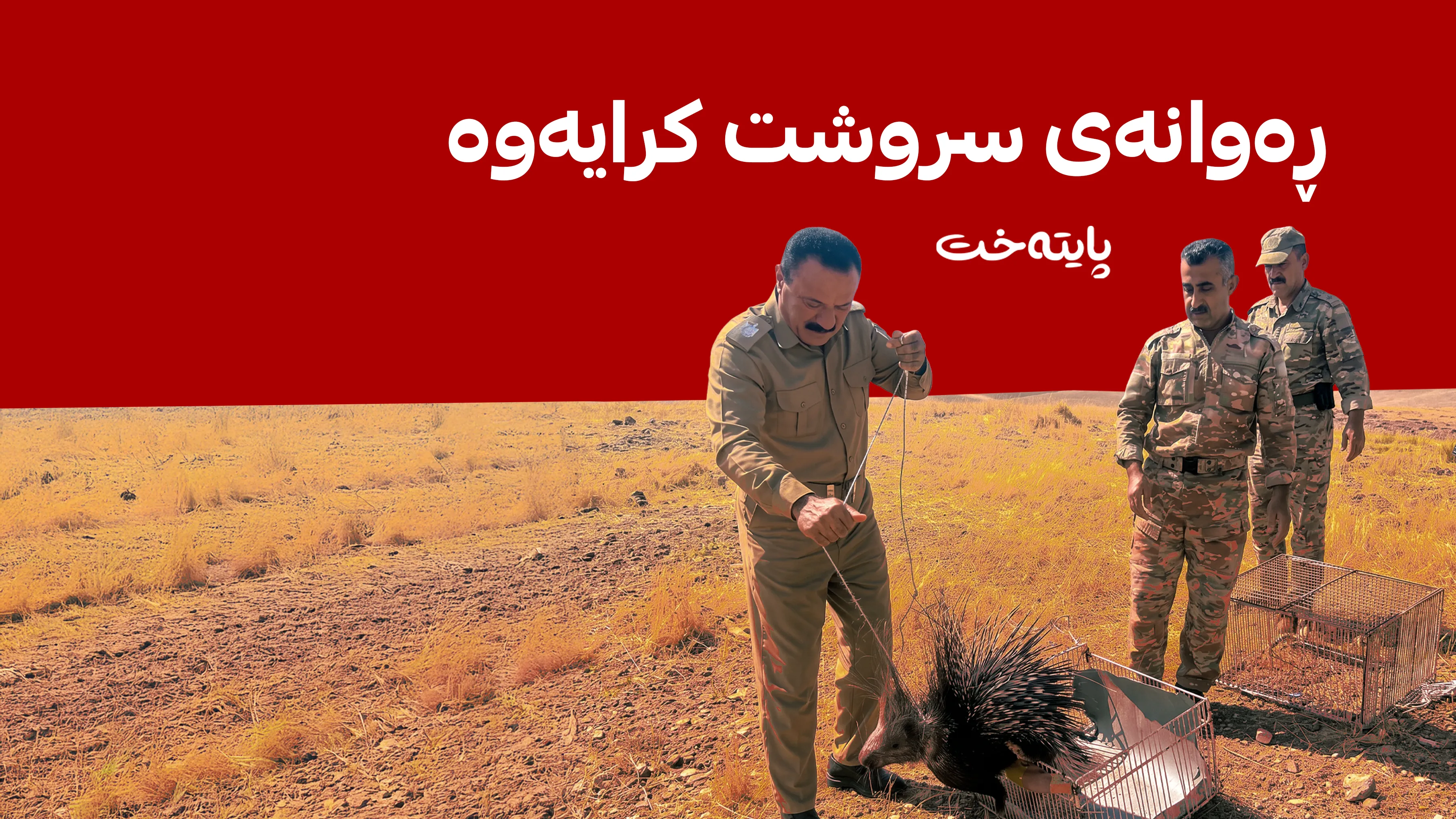  سوچەڕێک دوای یەک ڕۆژ مانەوەی لە زیندان ئازاد کرا