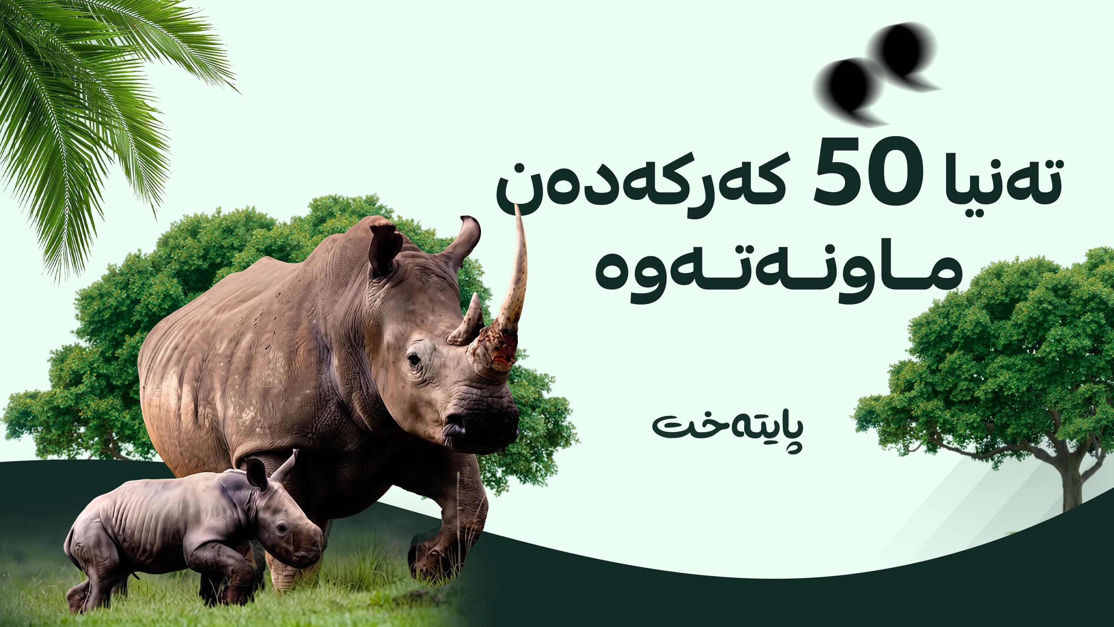 یەک هیوا بۆ ڕزگارکردنی کەرکەدەن ماوە