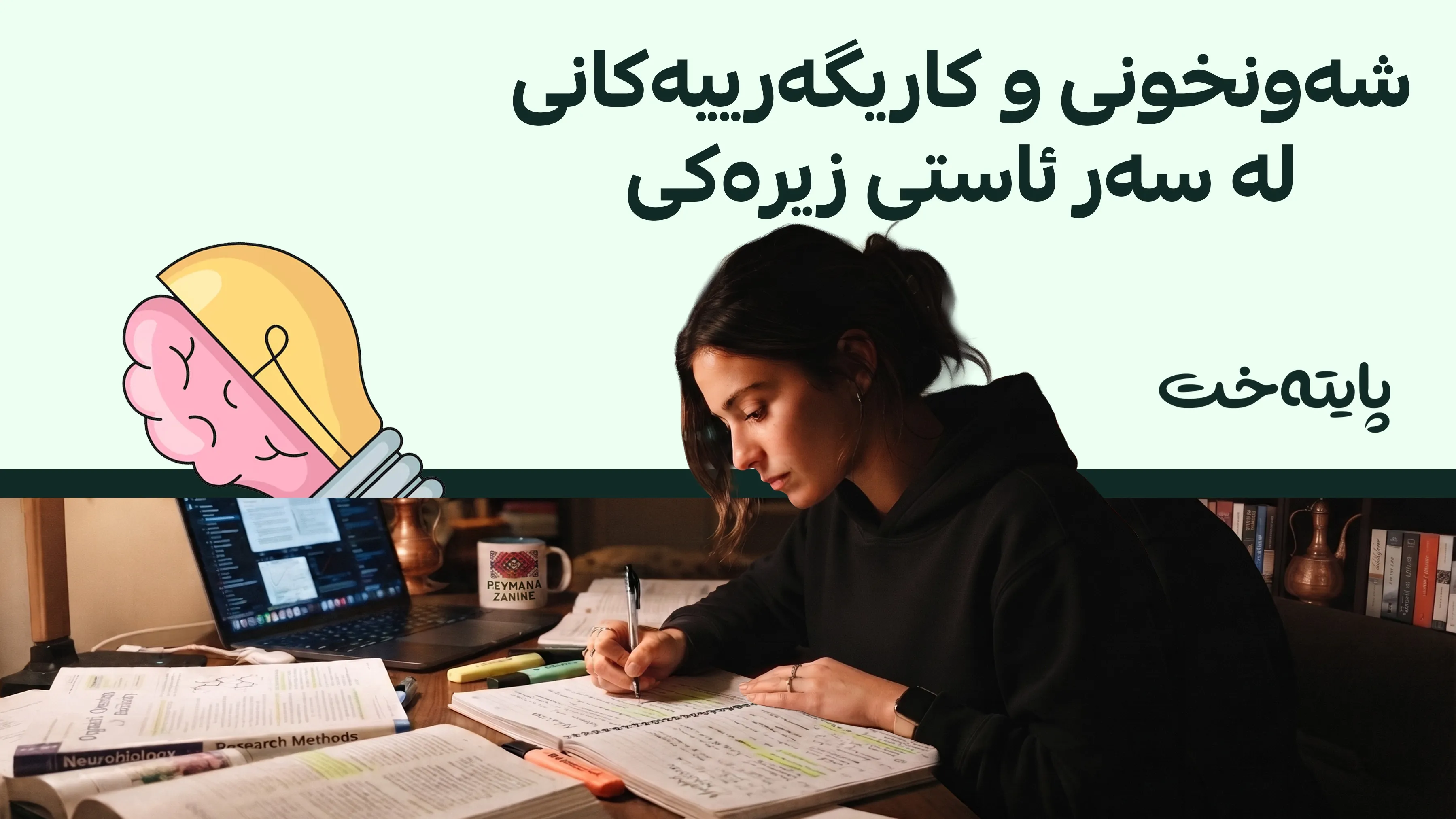 شەونخونی و تەرکیز؛ بۆچی هەندێک کەس چالاکترن؟