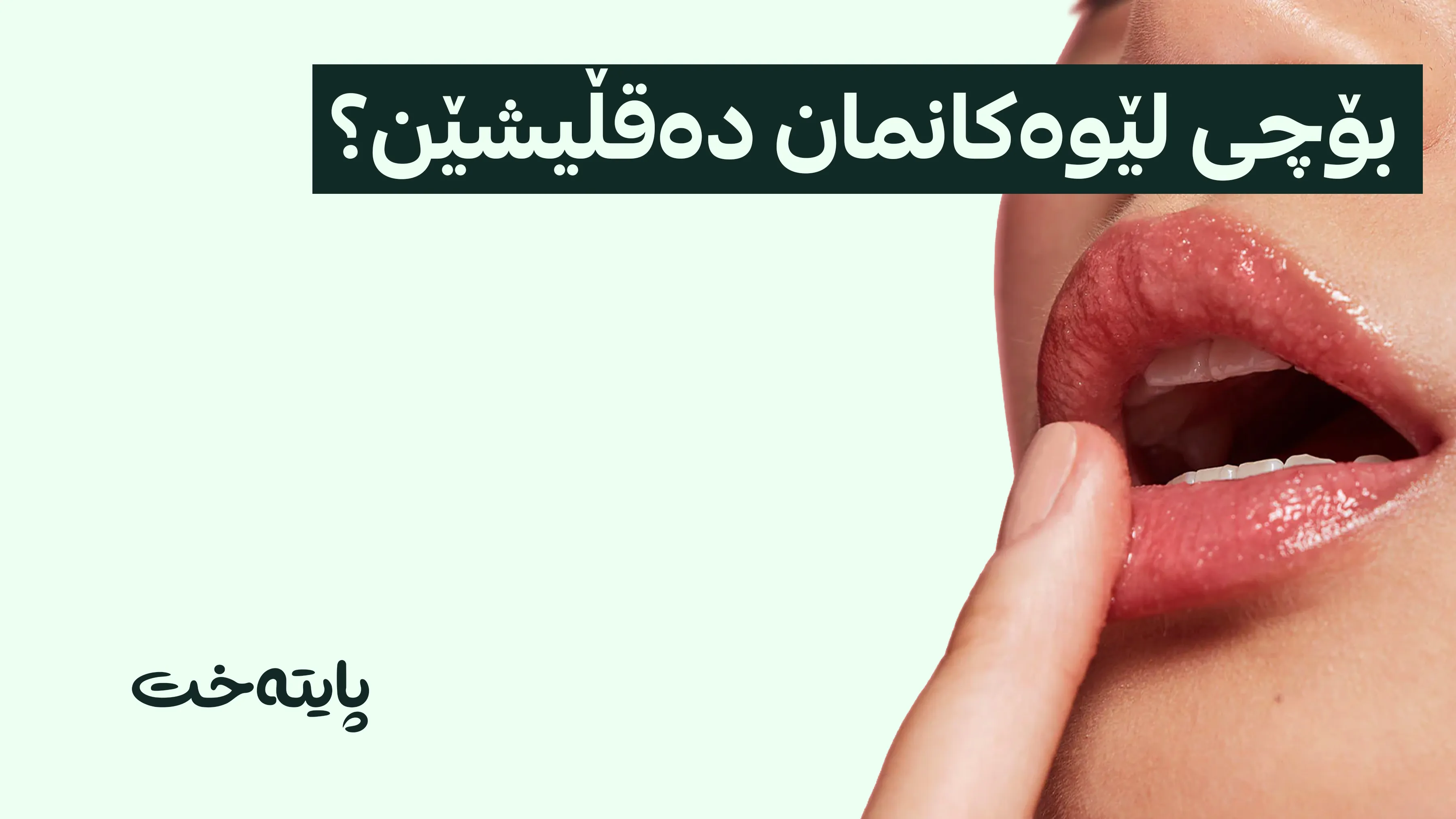 ڤیتامین E؛ چارەسەری وشکبوونەوەی لێوەکان