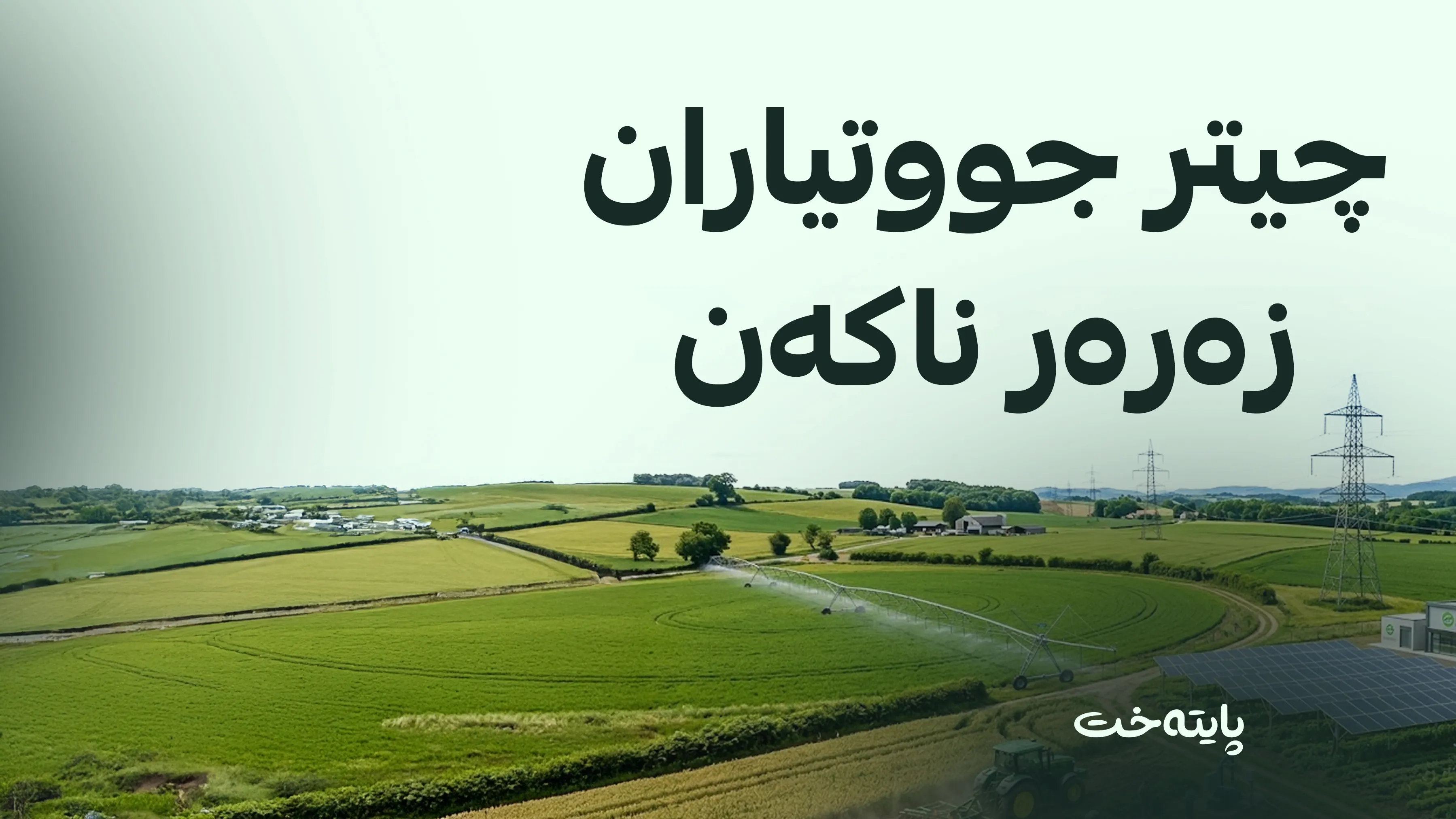 بەرهەمی جووتیارانی باڵەکایەتی و سیدەکان بە نرخی گونجاو وەردەگیرێت