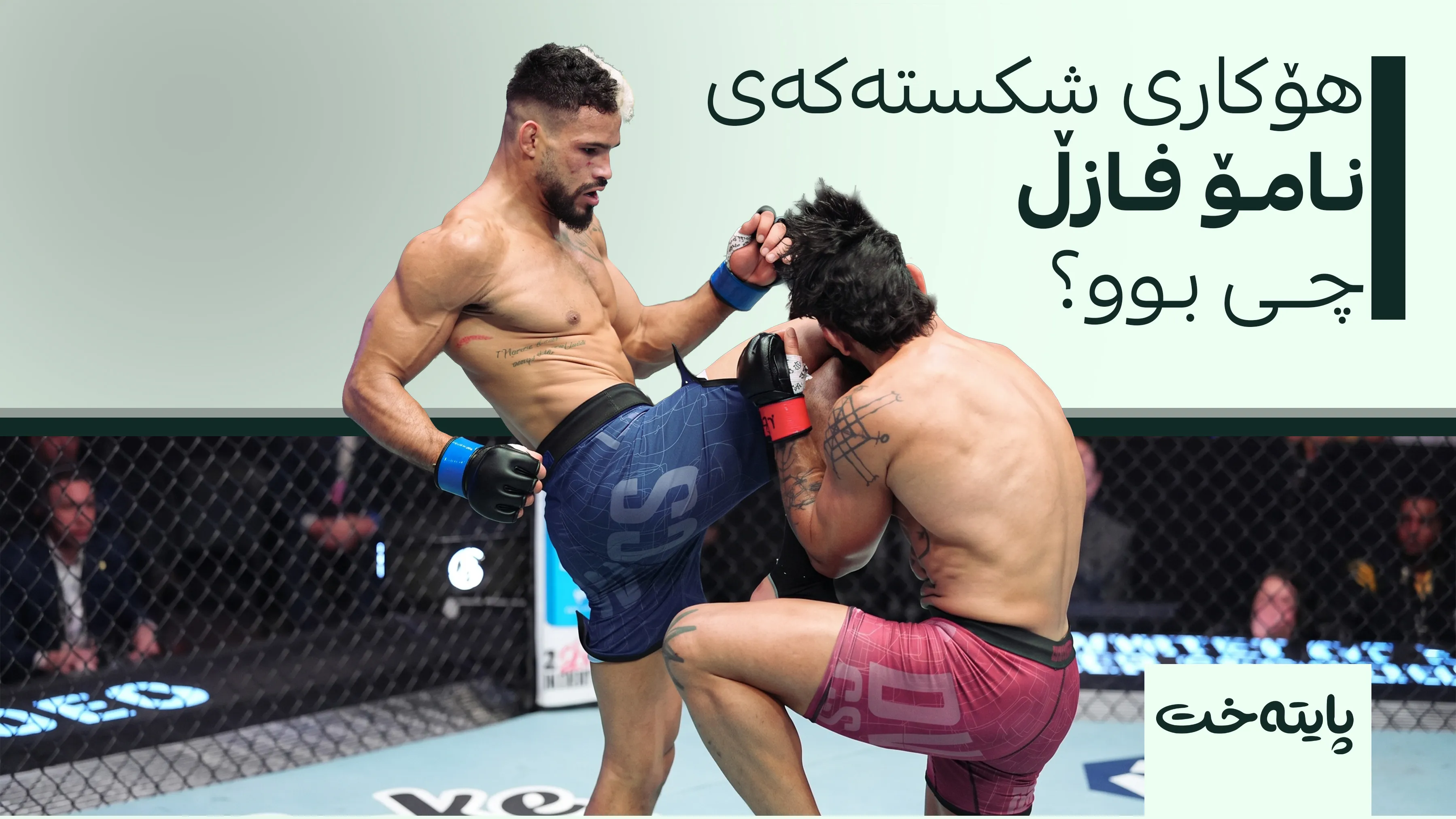  نامۆ فازڵ دوای یارییەکە: بە کردار وەڵامی ئەم شکستە دەدەمەوە