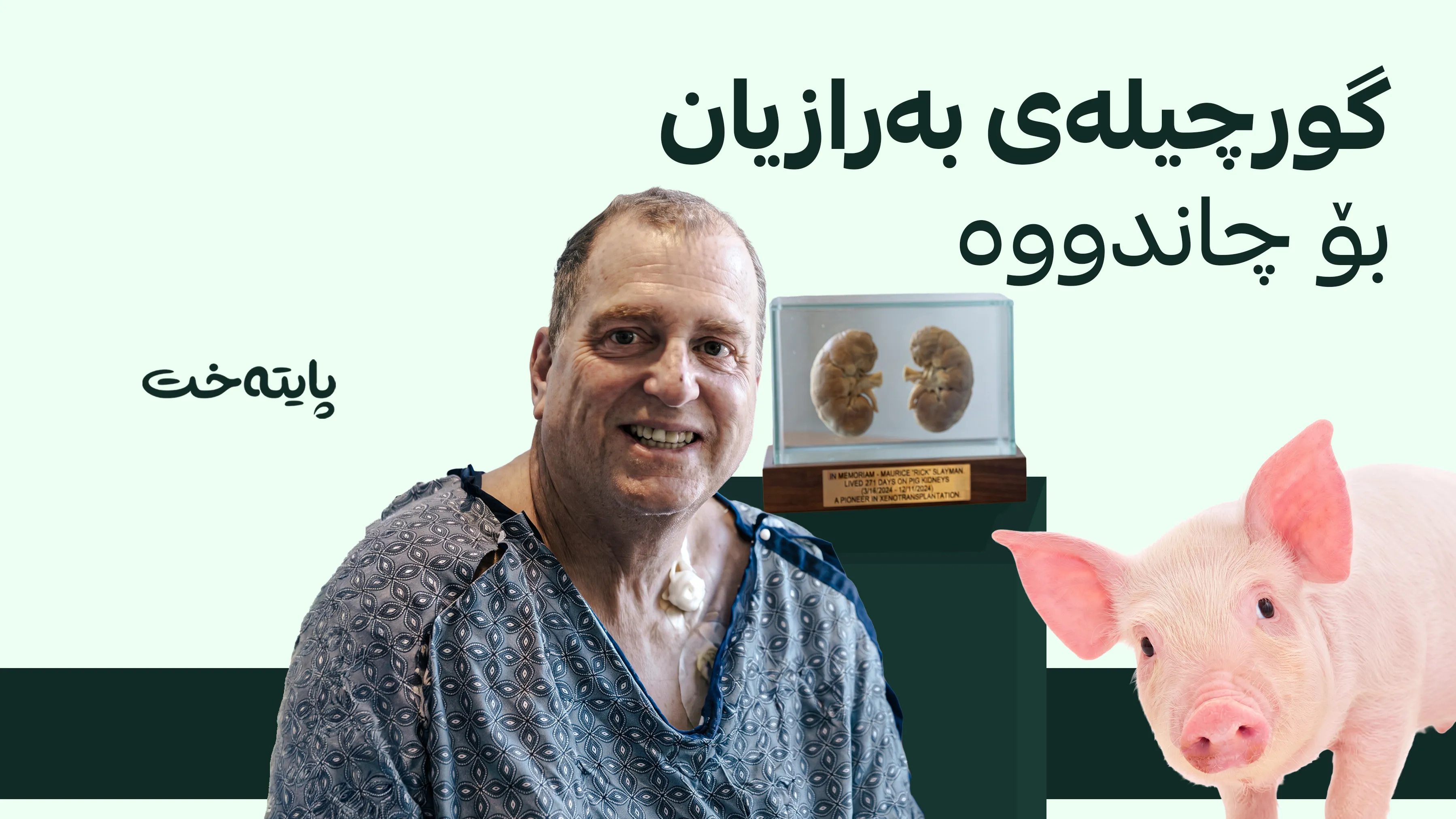 پیاوێک زیاتر لە 200 ڕۆژ بە گورچیلەی ئاژەڵێک دەژیێت
