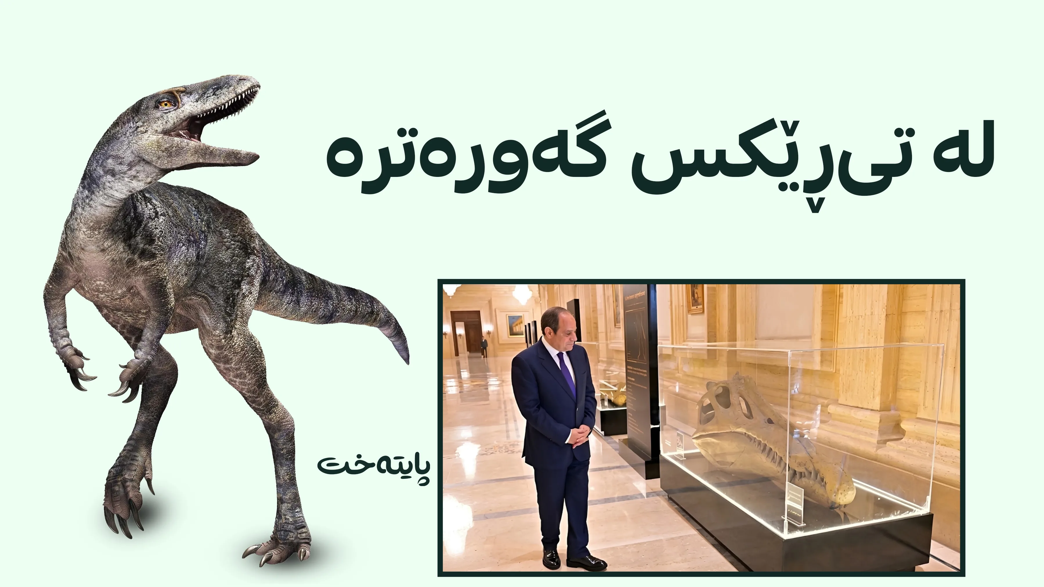 میسر؛ گەورەترین دایناسۆڕی جیهان دۆزرایەوە