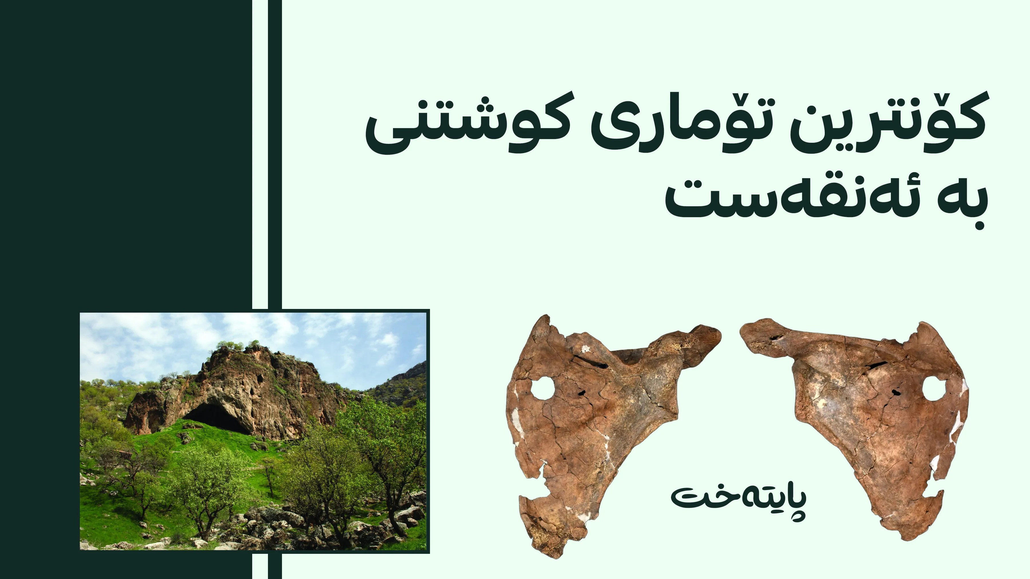 دۆزینەوەی کۆنترین بەڵگەی توندوتیژیی له‌ مێژوودا ڕاگه‌یه‌ندرا