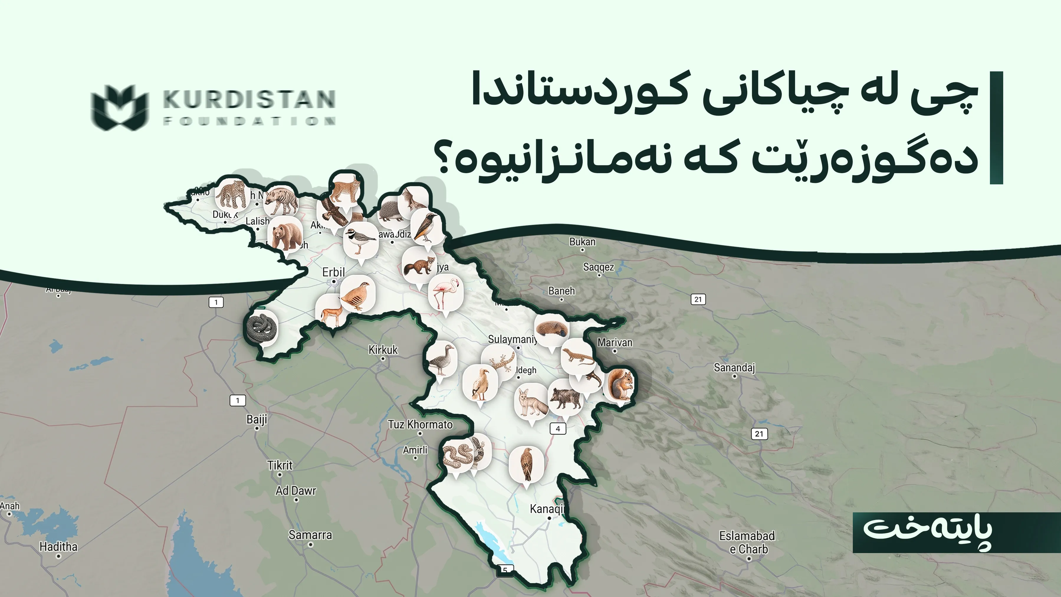 کوردستان فاوندەیشن پڕۆژەی فرەچەشنیی زیندی لە هەرێمی کوردستان ڕادەگەیەنێت