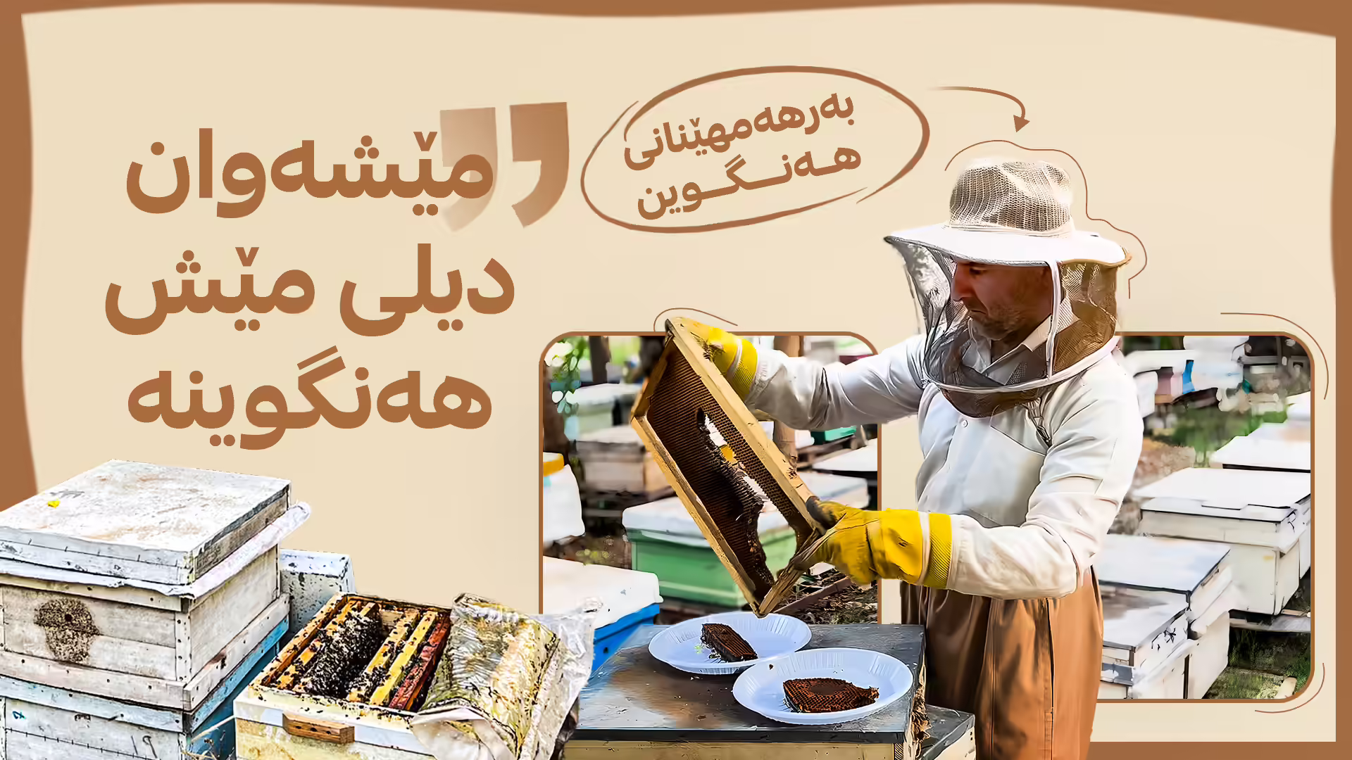 24 ساڵە کاری هەنگەوانی دەکات
