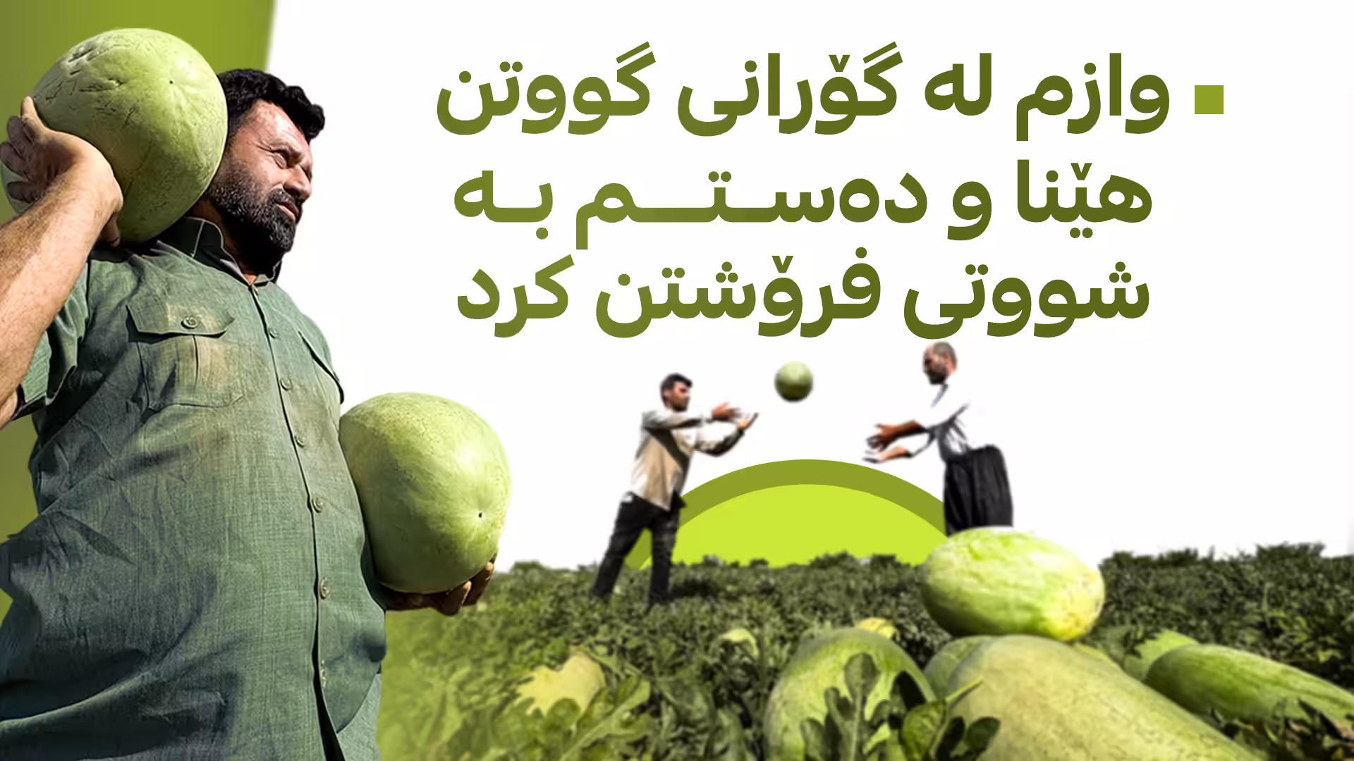 شووتی باش کام جۆرەیە؟