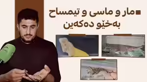 مار و تیمساح بەخێو دەکات