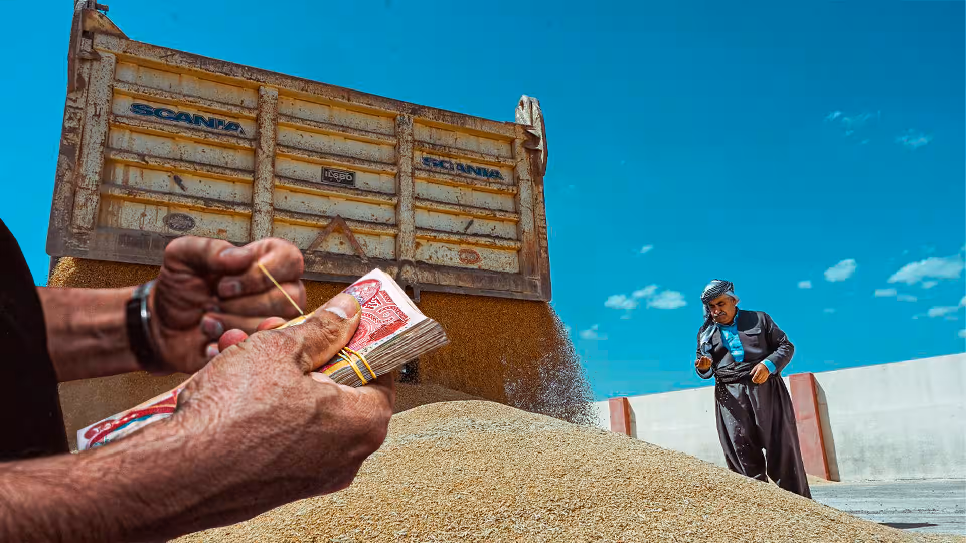  بەڕێوەبەری کشتوکاڵی هەولێر بۆ پایتەخت: جووتیاران لە ڕێگەی کۆمپانیاوە زووتر پارەی گەنم وەردەگرن