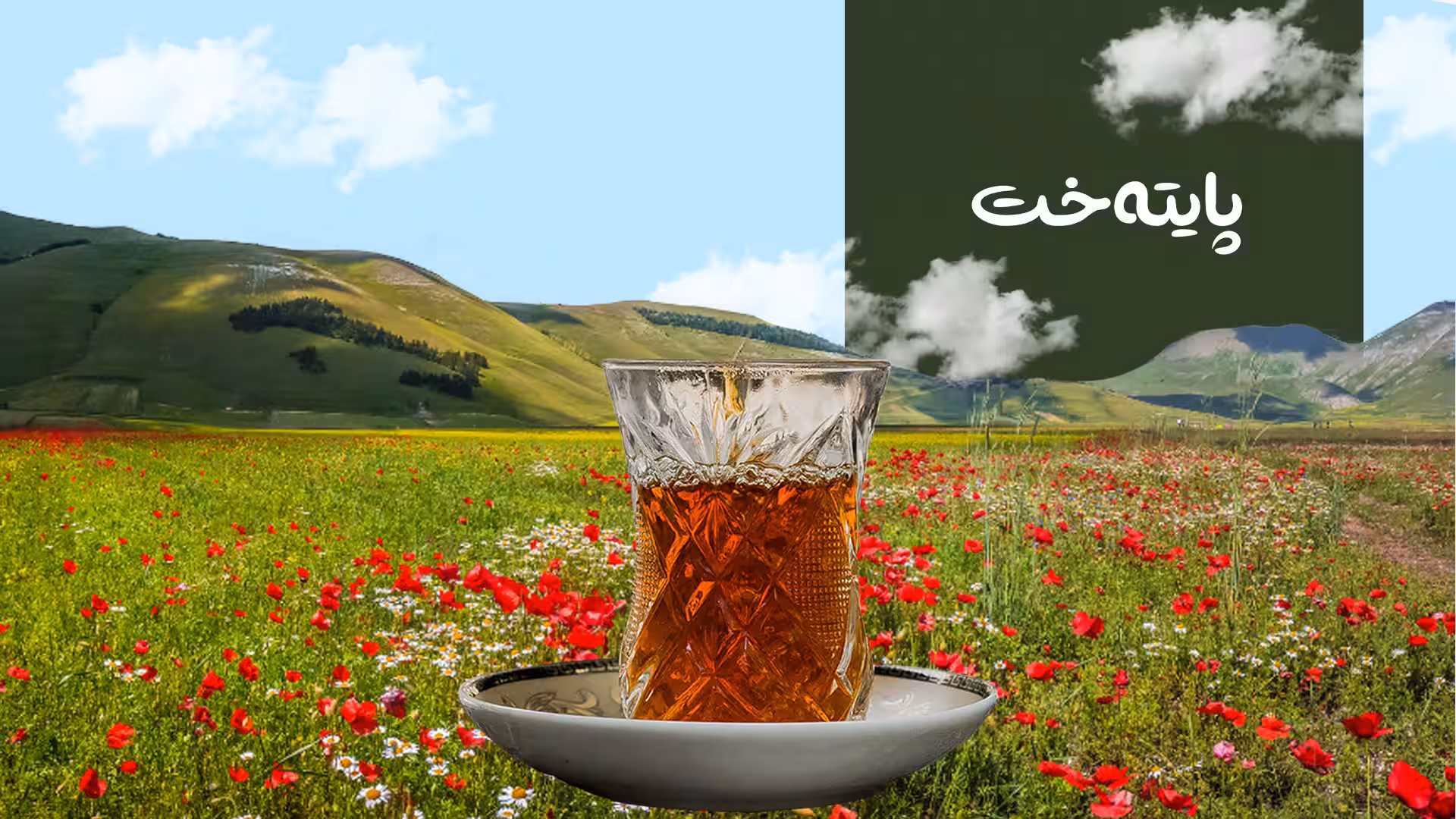 زیانەکانی زۆر خواردنەوەی چایی چین؟