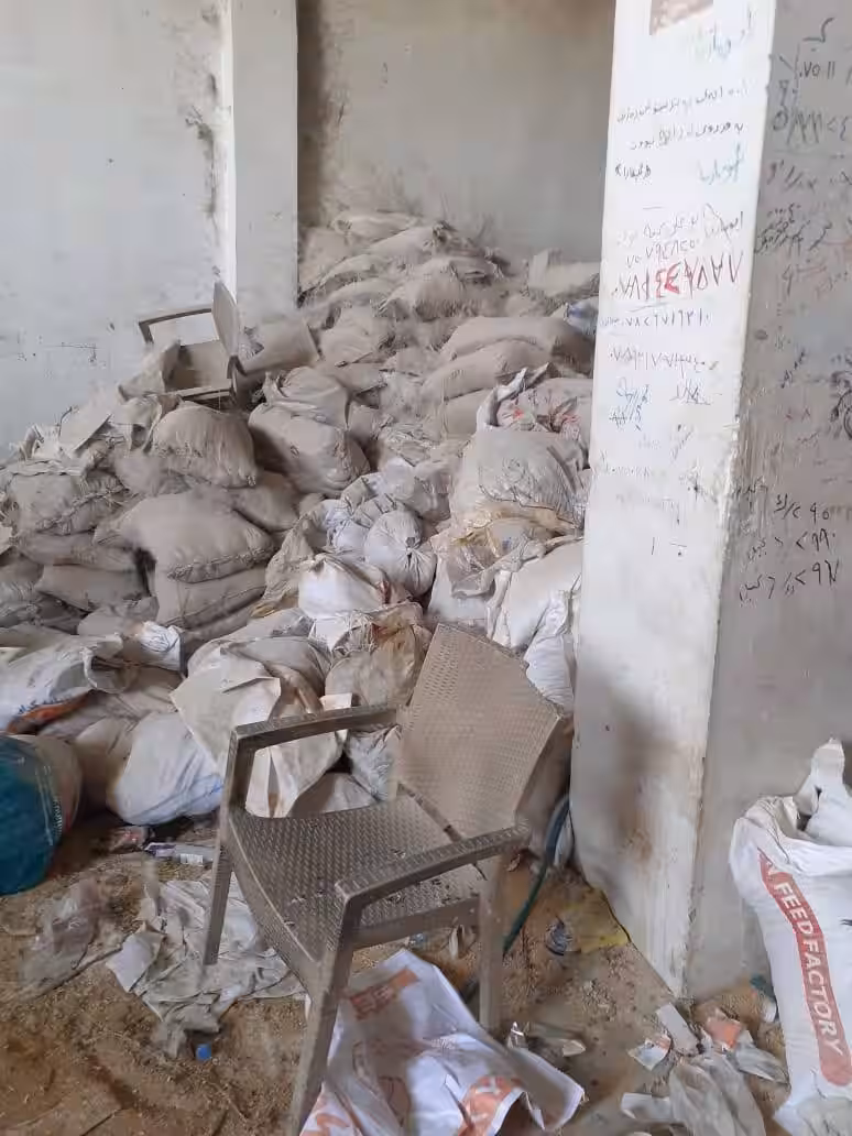 بەڕێوەبەری کشتوکاڵی هەولێر بۆ پایتەخت: سزای دارایی ئەو شوێنەی ئالیکی بە شێوەی نایاسایی بەرهەم دەهێنا دەدەین