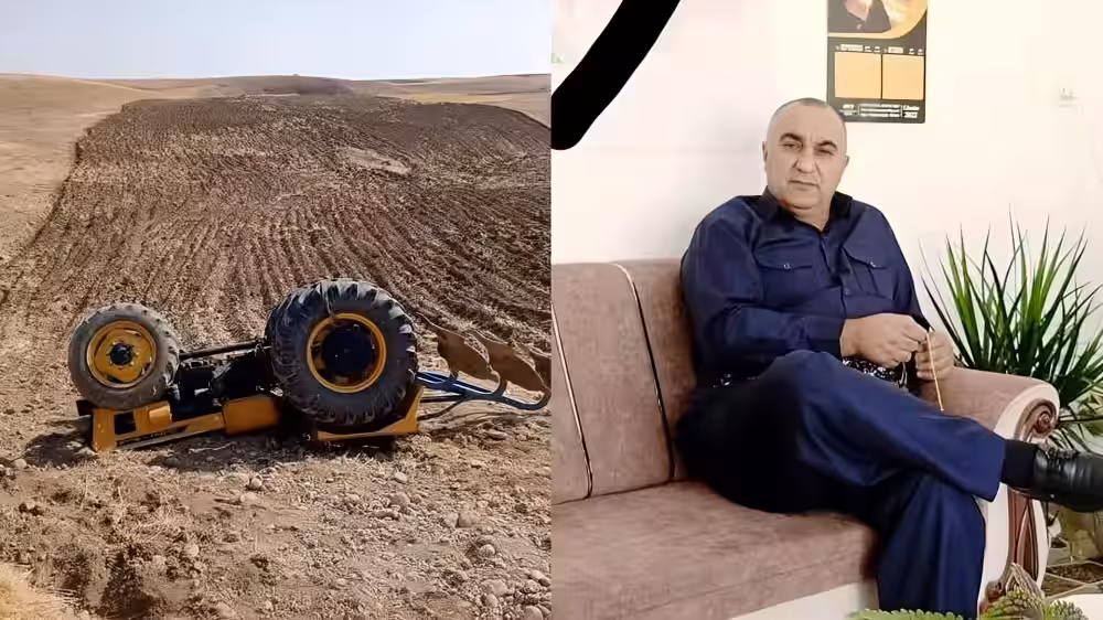 جووتیارێک لە کاتی کێڵانی زەوی گیانی لەدەستدا