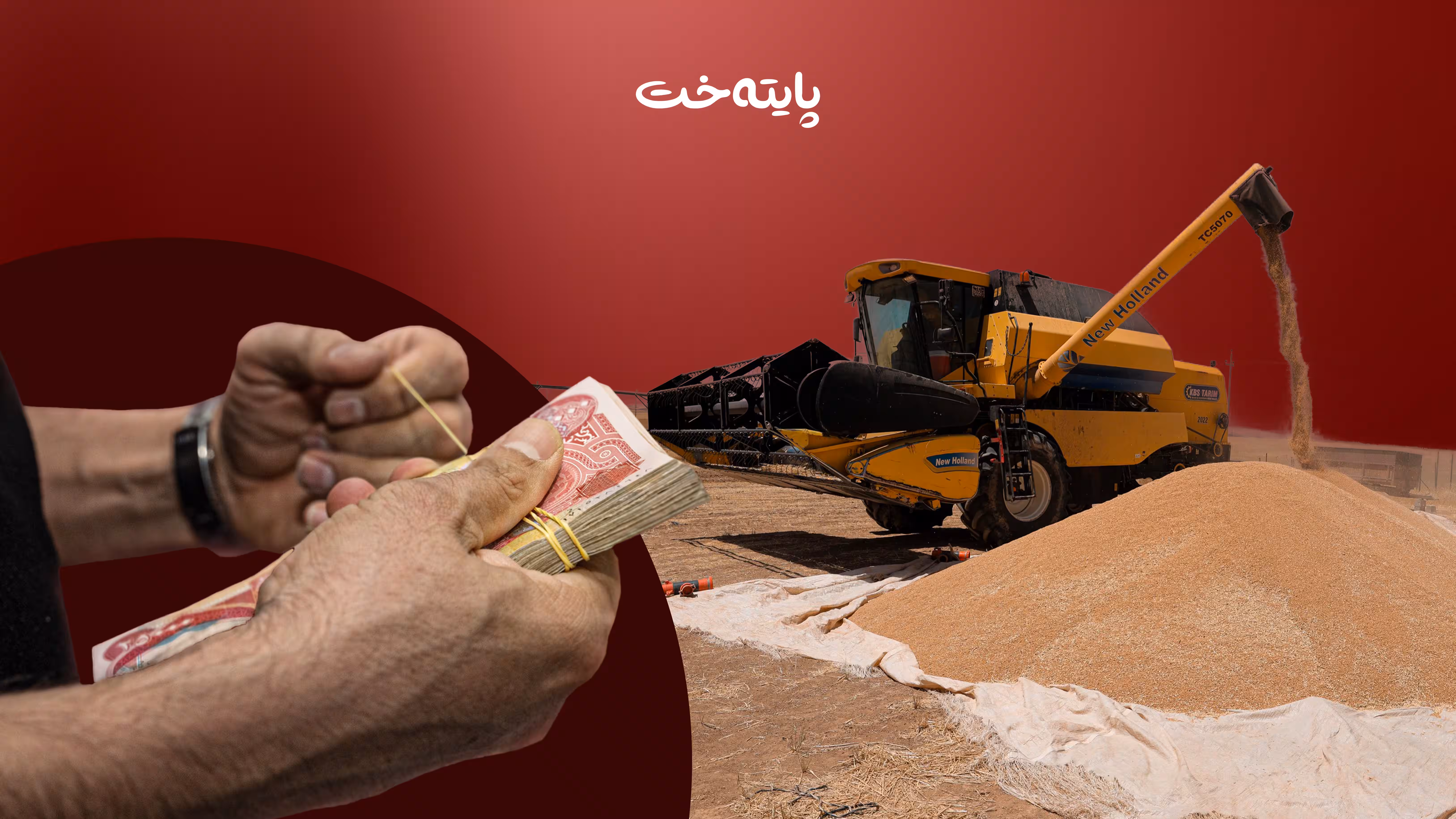 پارەی گەنمی جووتیاران گەیشت 