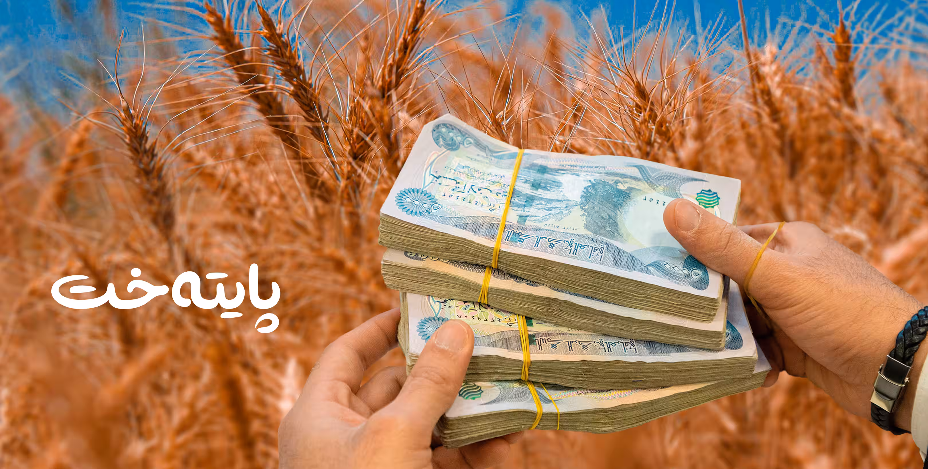بڕی 5 ملیار دیناری دیکە بۆ دابەشکردنی چەکی جووتیاران گەیشت