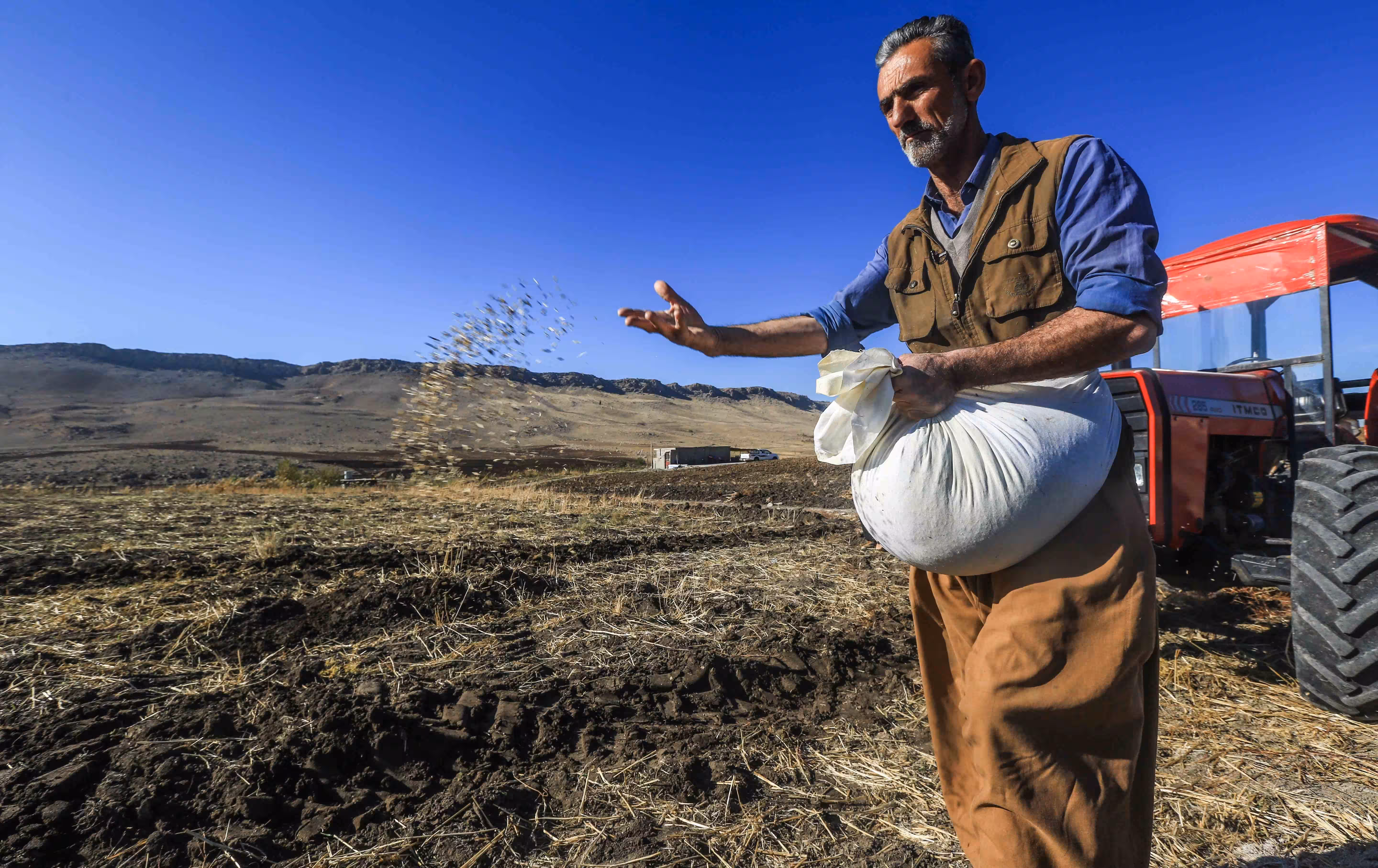 هه‌زاران جووتیار ده‌رمان بۆ گه‌نمه‌كانیان وه‌رده‌گرن