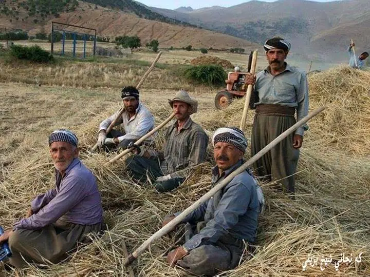 پایتەخت | جووتیارانی دهۆك ده‌بنه‌ خاوه‌ن هه‌ژماری UPN