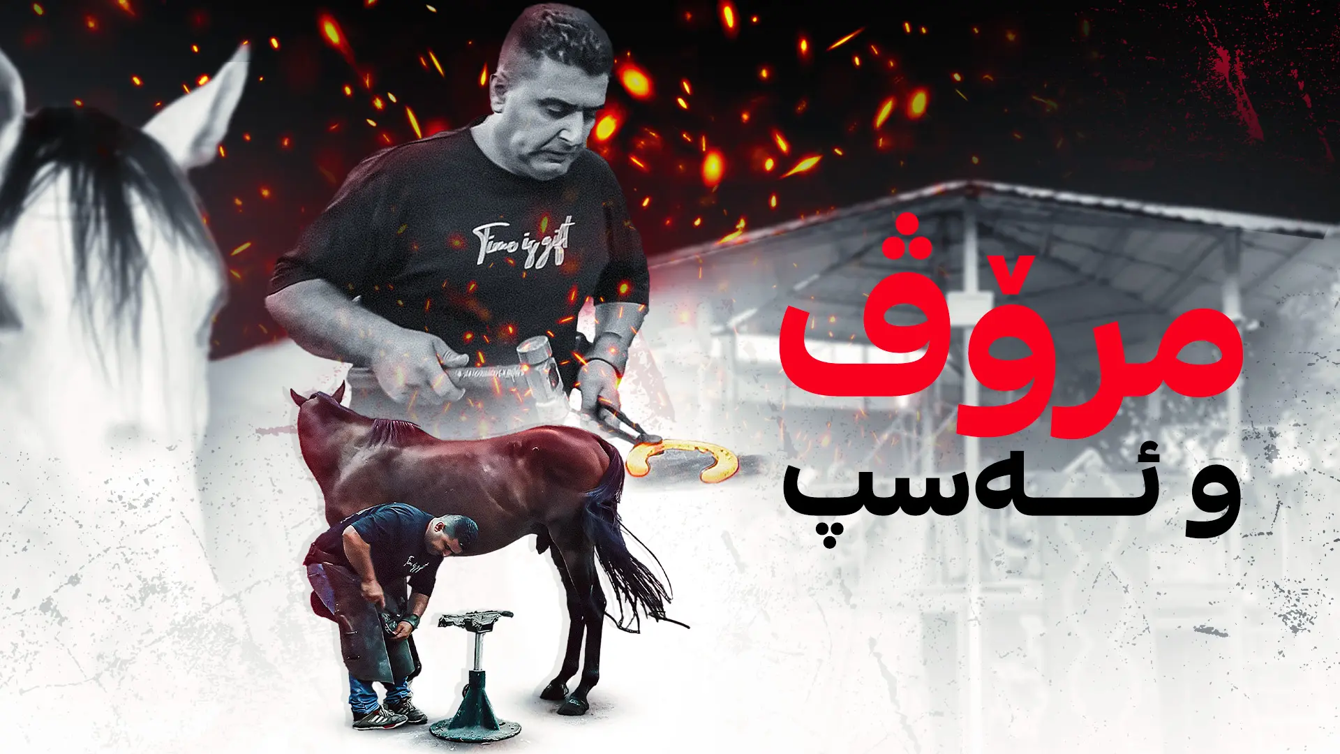 مرۆڤ و ئەسپ