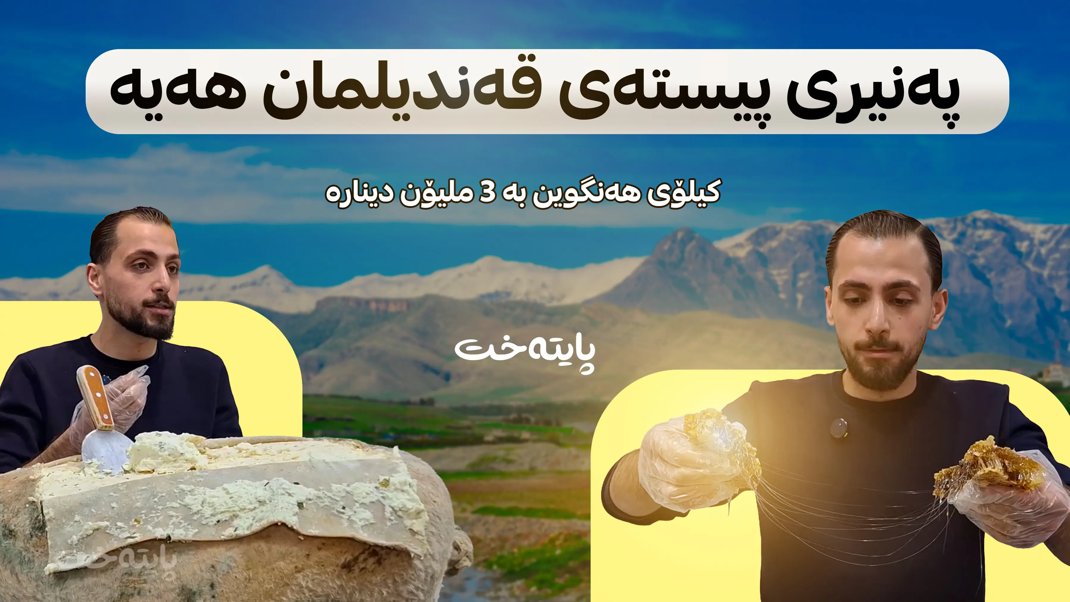 پەنیری پیستەی قەندیلمان هەیە 