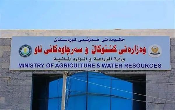 وەزارەتی کشتوکاڵ : دەنگۆی خراپی مریشکی کێڵگە پەلەوەرییەکان ڕەت دەکەینەوە