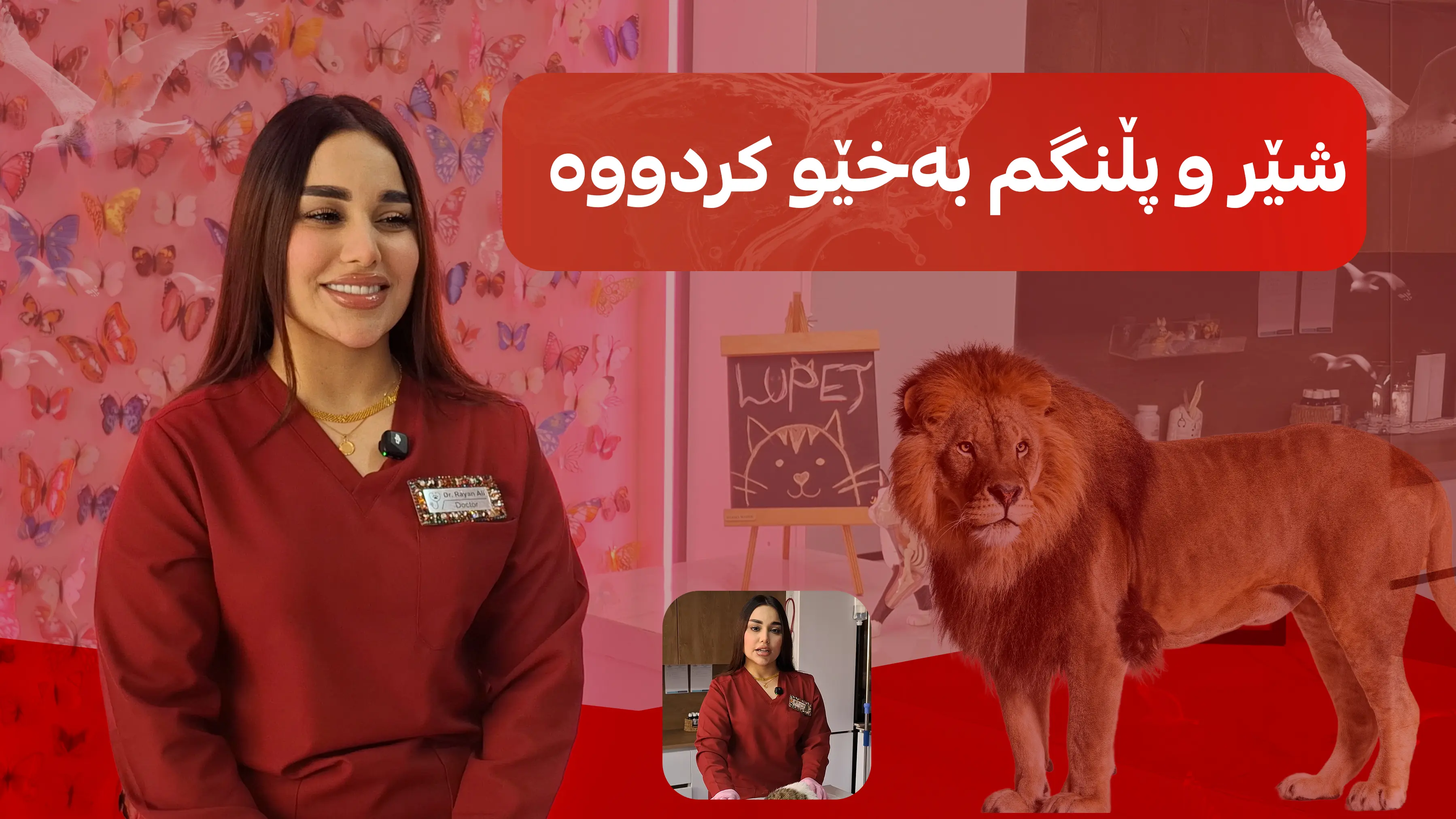 شێر و پڵنگم به‌خێو‌ كردووه‌