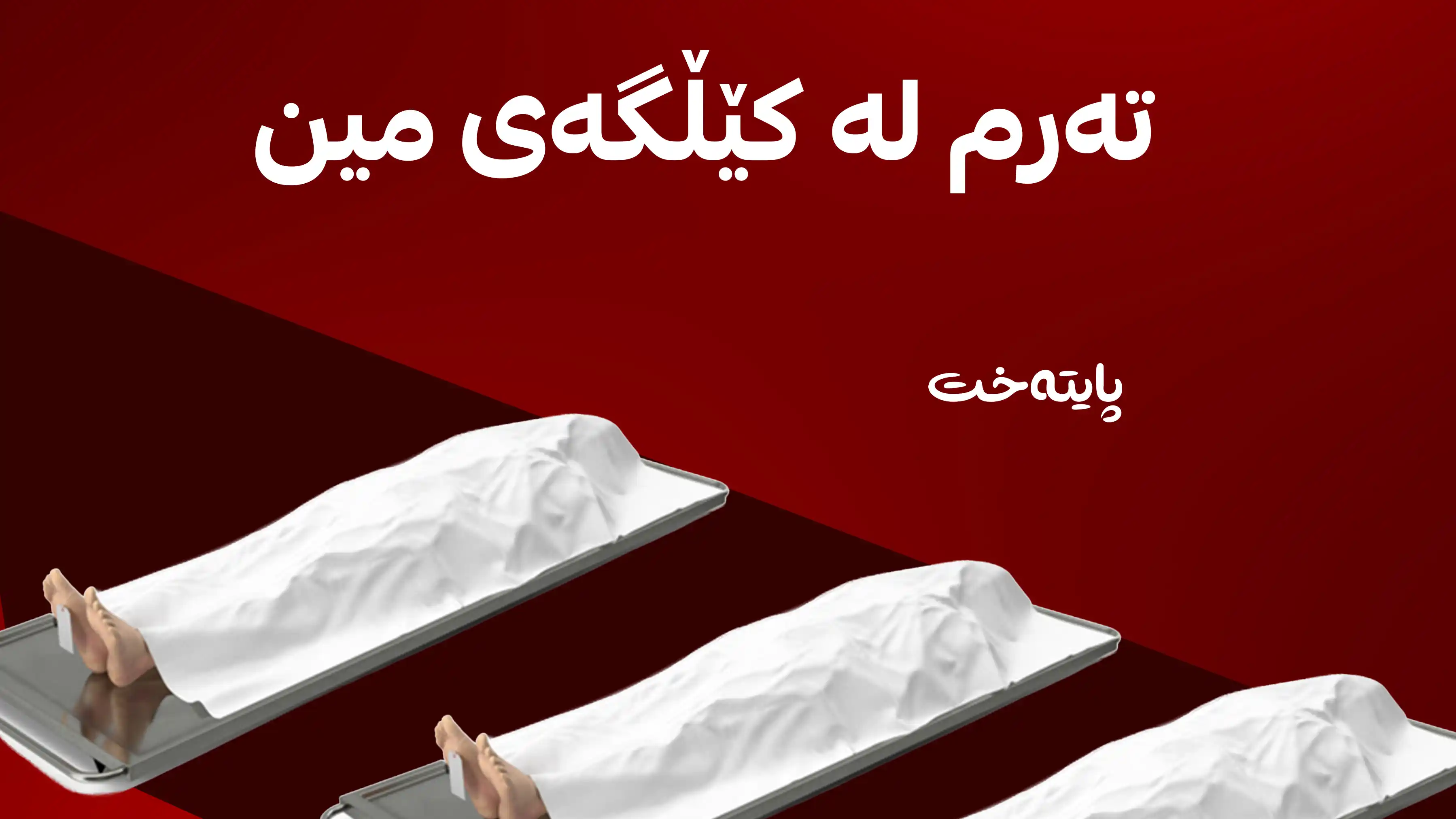 ناسنامەی تەواوی ئەو کەسانەی لە سنوور دۆزراونەتەوە
