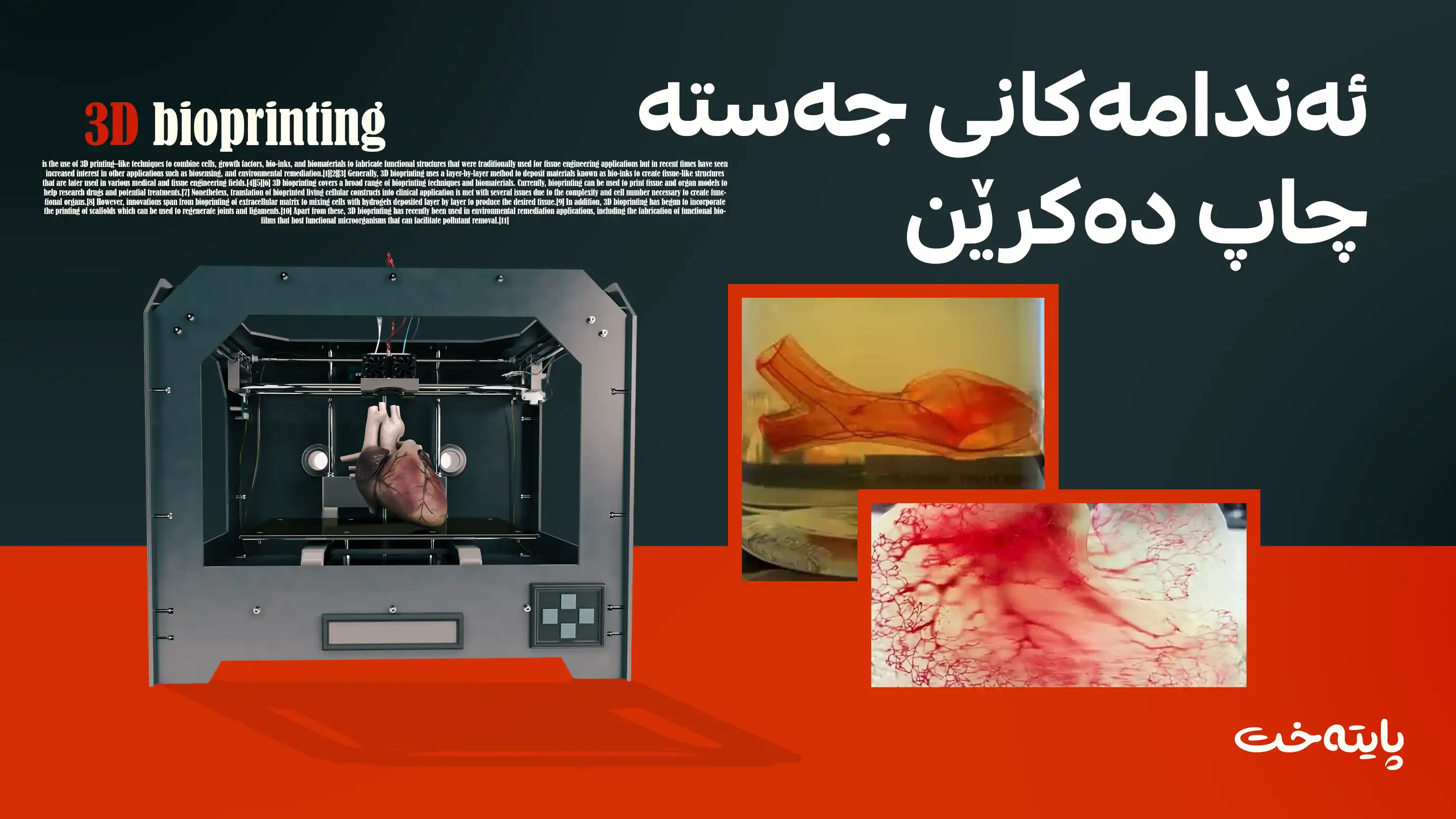 پارچەی یەدەگ بۆ جه‌سته‌ دروست دەکرێت