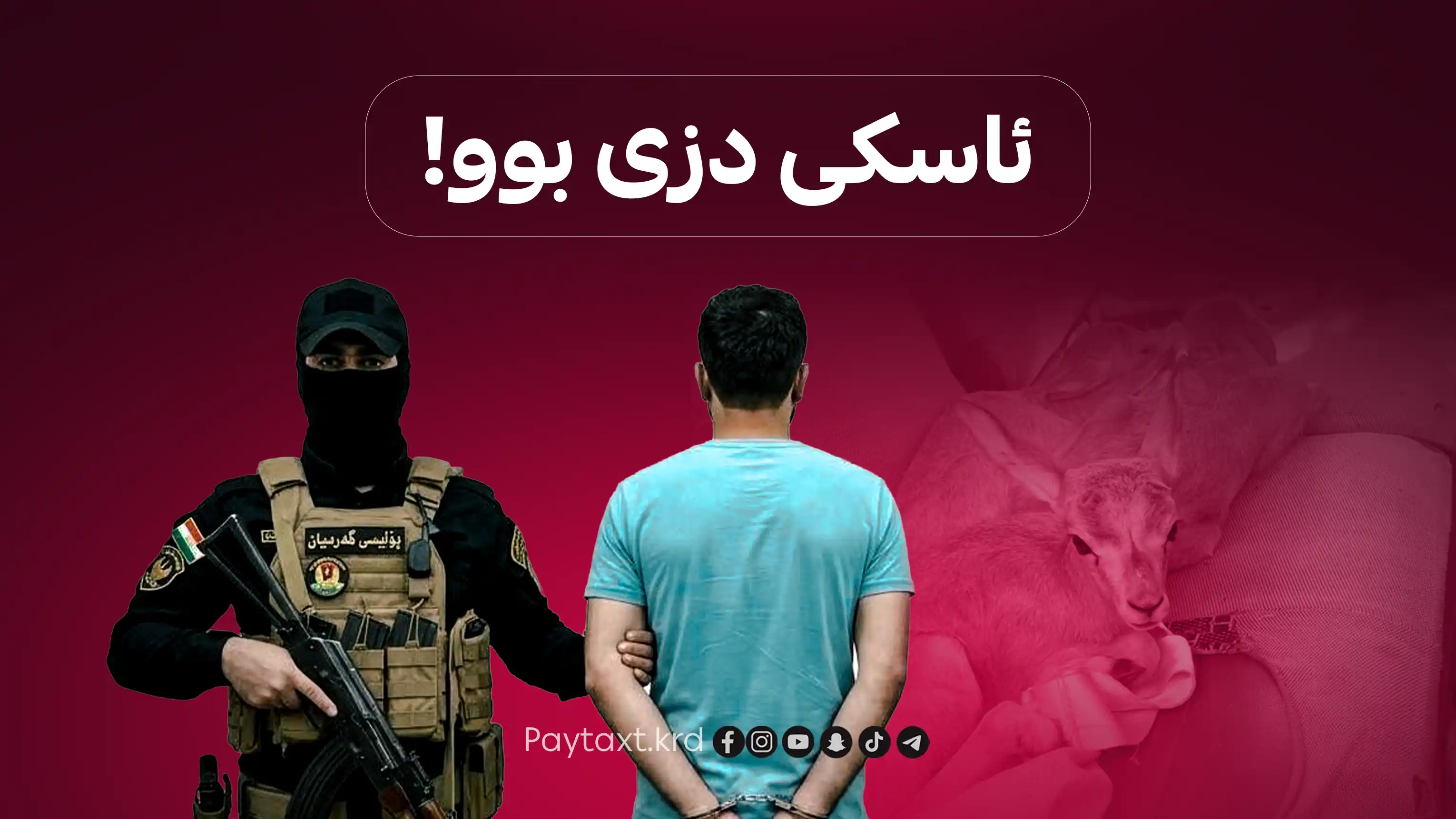 تۆمەتبارێکی دیکەی ڕاوکردنی بێچووە ئاسکەکانی گەرمیان دەستگیرکرا
