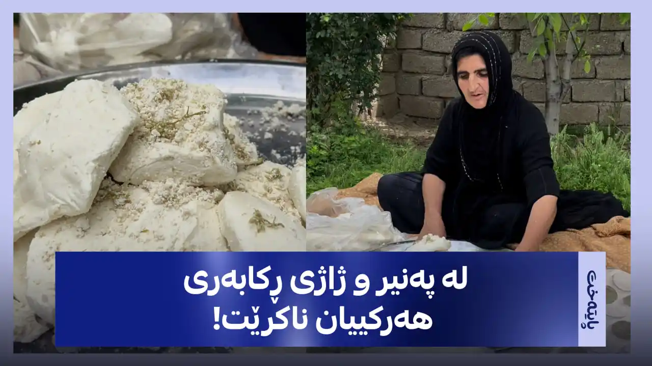 لە پەنیر و ژاژی ڕکابەری هەرکییان ناکرێت!