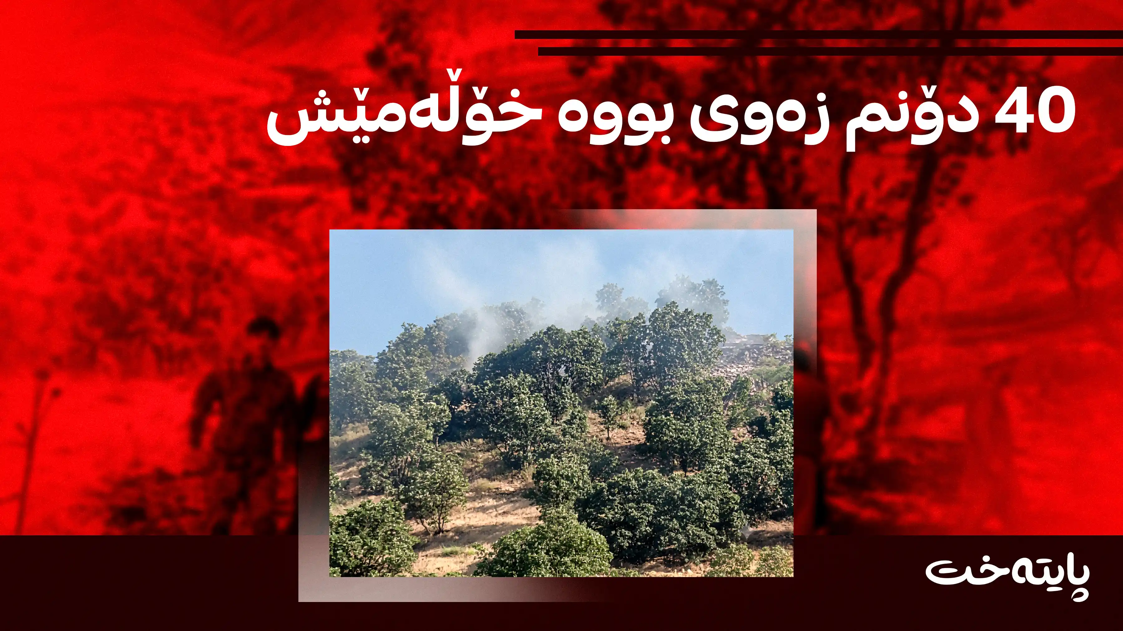 زیاتر لە 40 دۆنم دارستان و پوش و پاوان سووتان