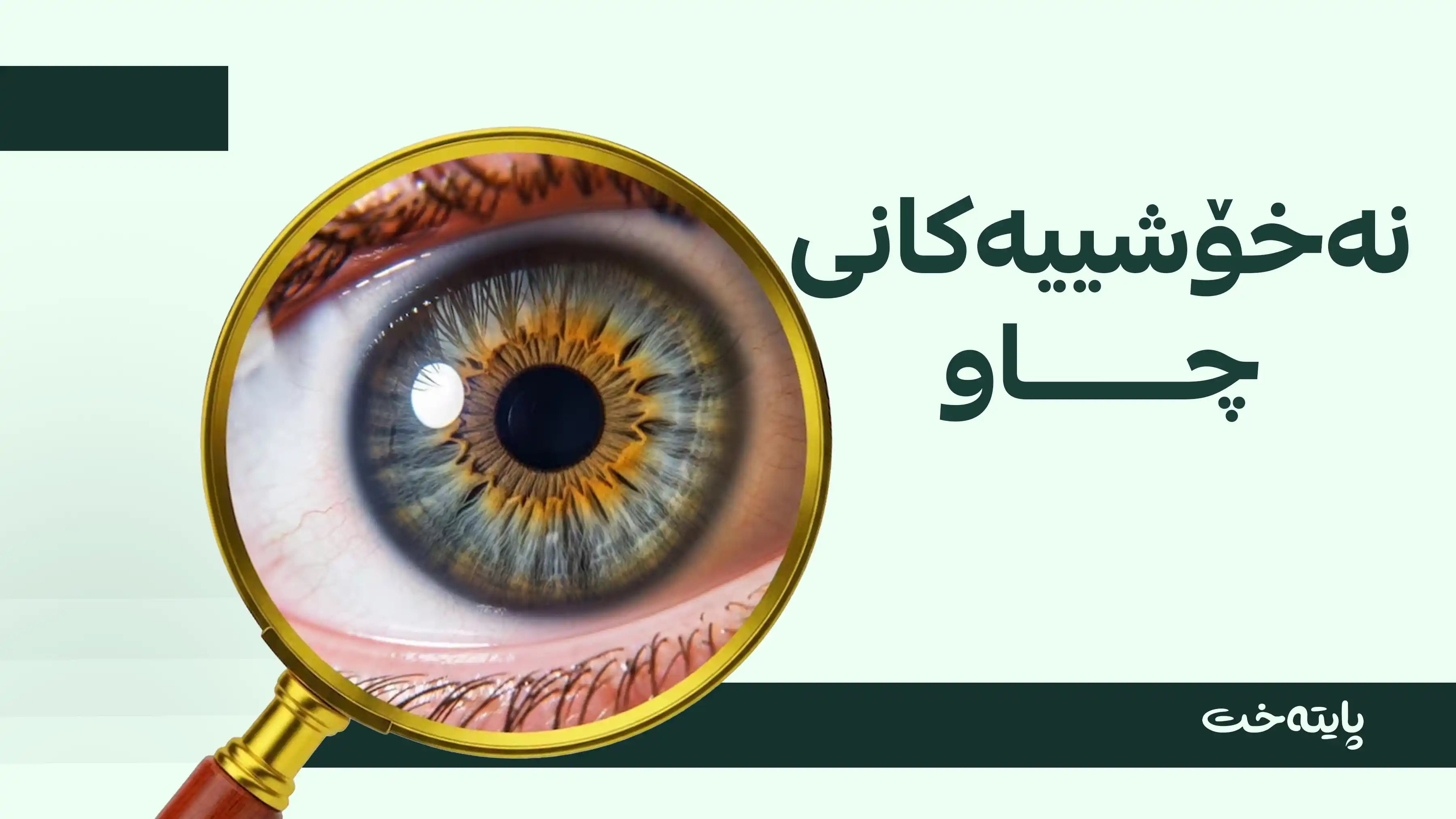 نەخۆشییەکانی چاو به‌ بێدەنگی گەشە دەکەن