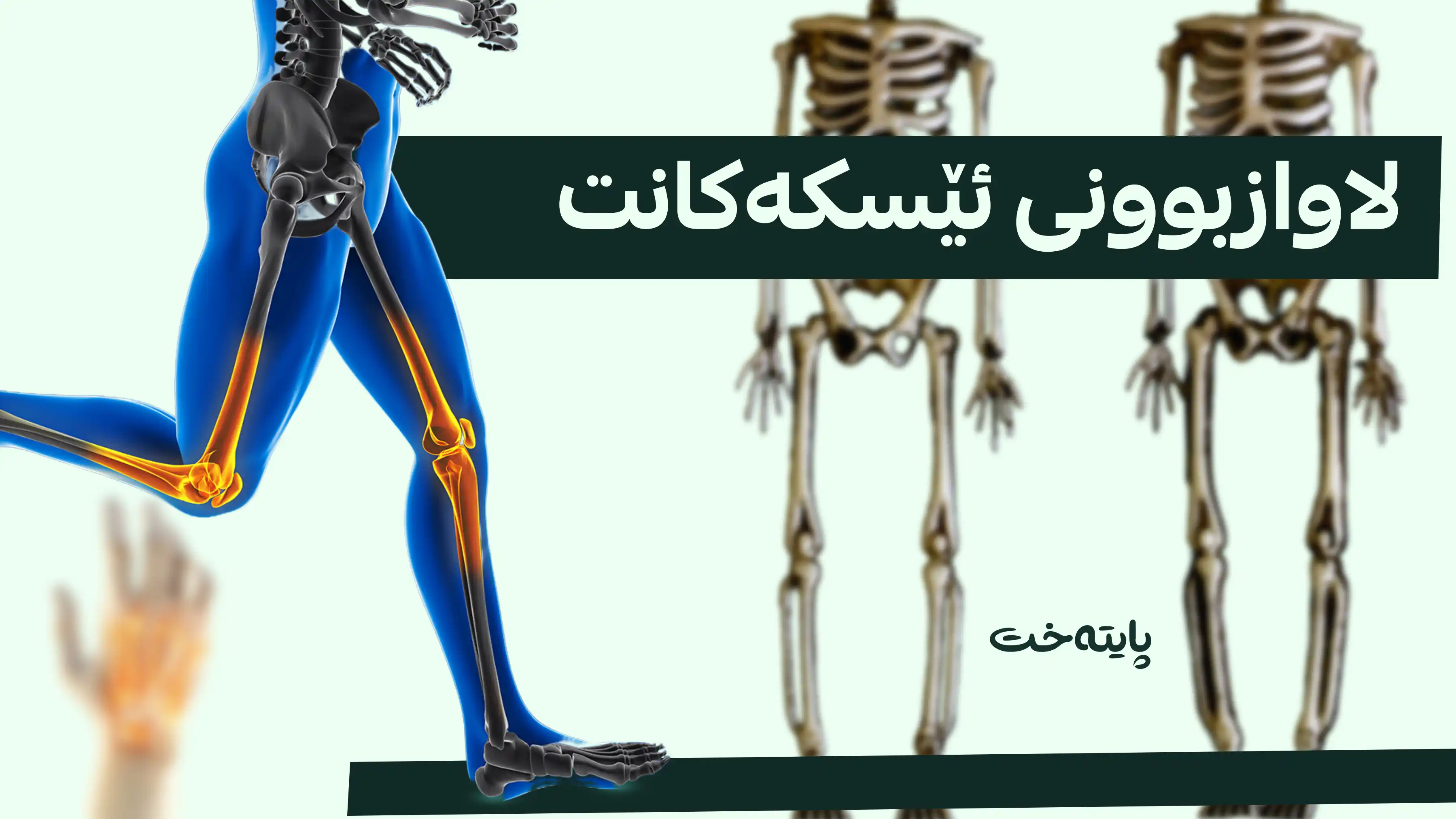 چۆن لە گەنجیدا ئێسکەکانت لە داڕووخانی پیری دەپارێزیت