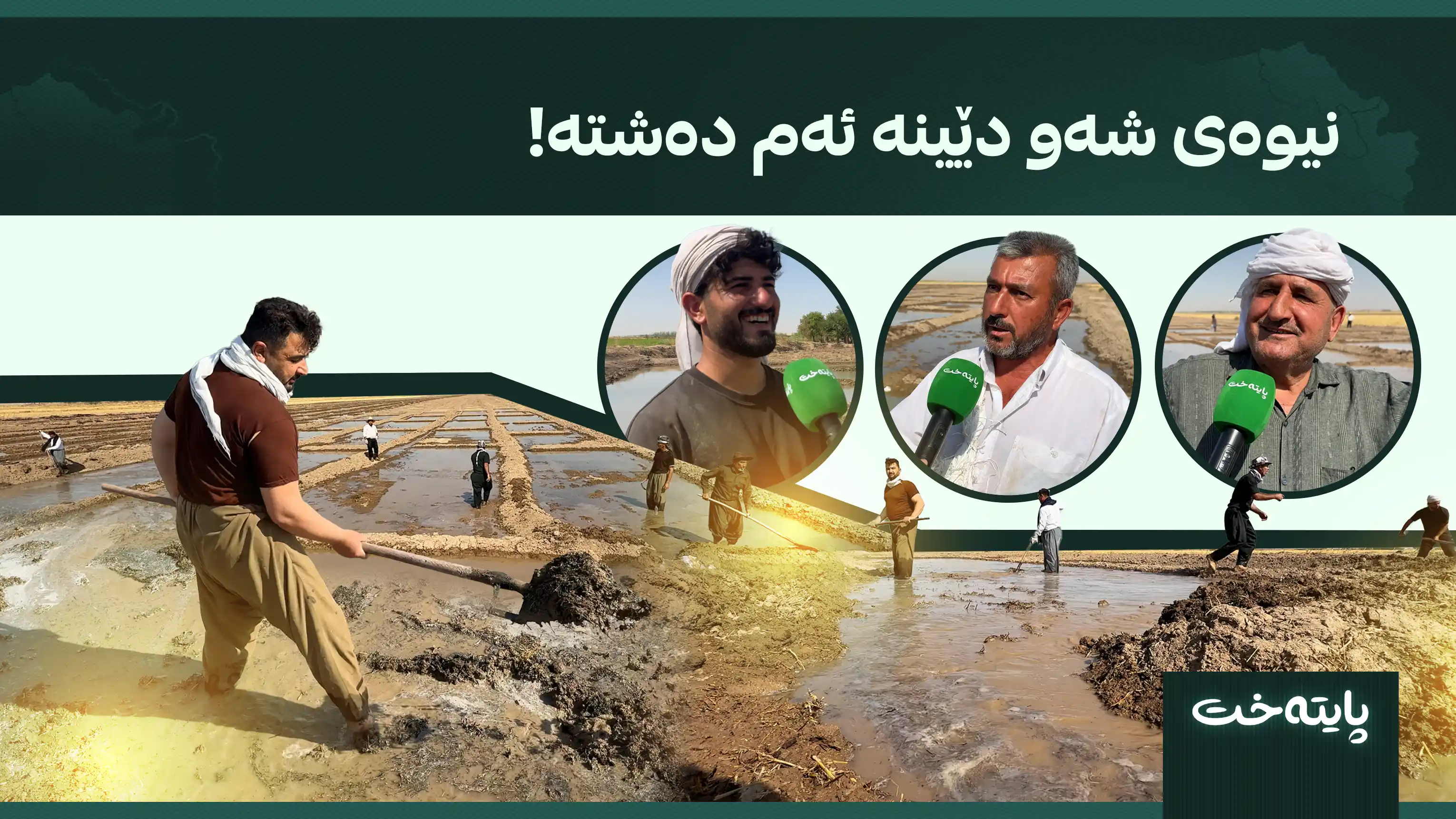 نیوەی شەو دێینە ئەم دەشتە!