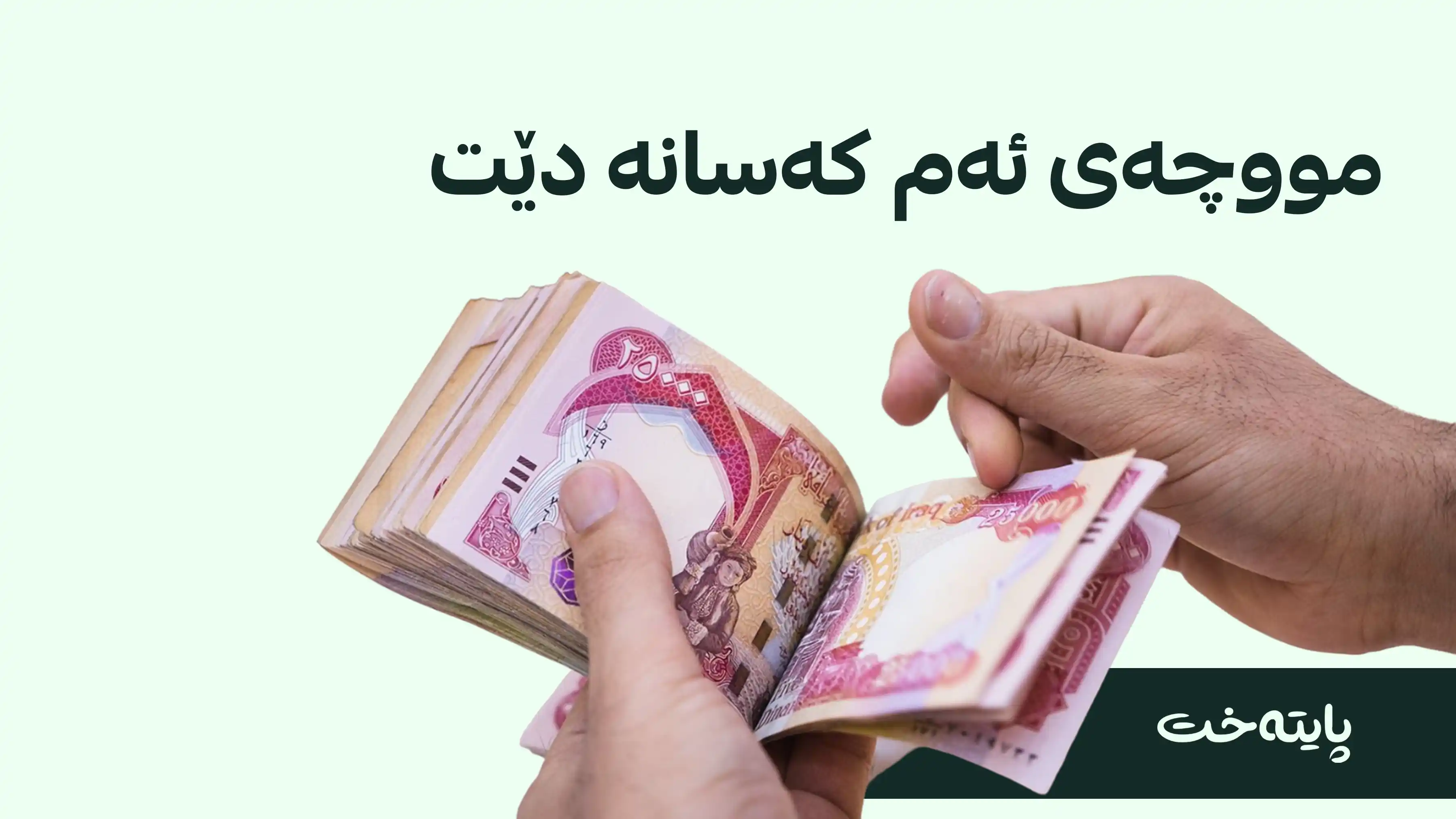 مووچە دابەش دەکرێت